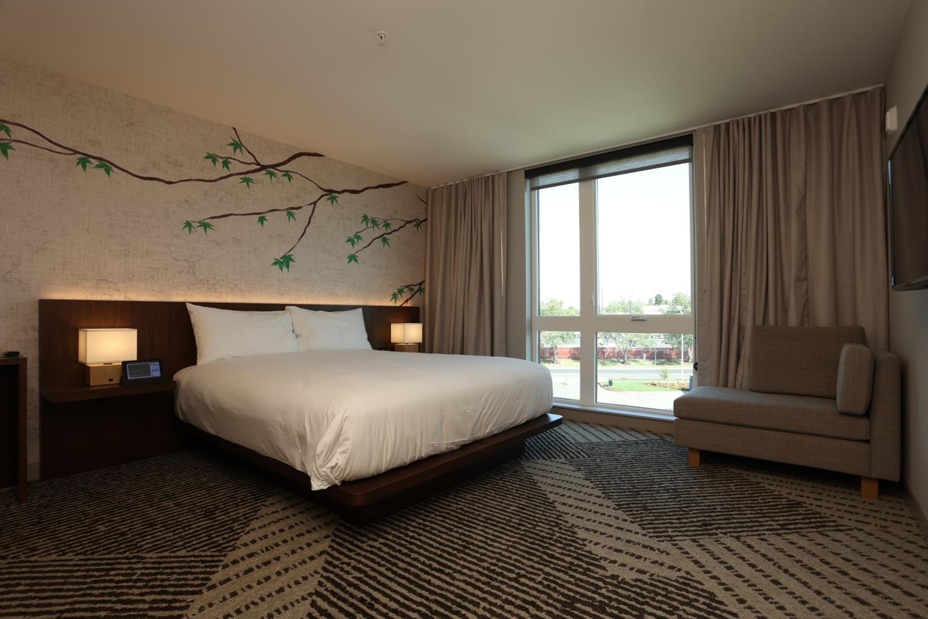 Suite photo 2