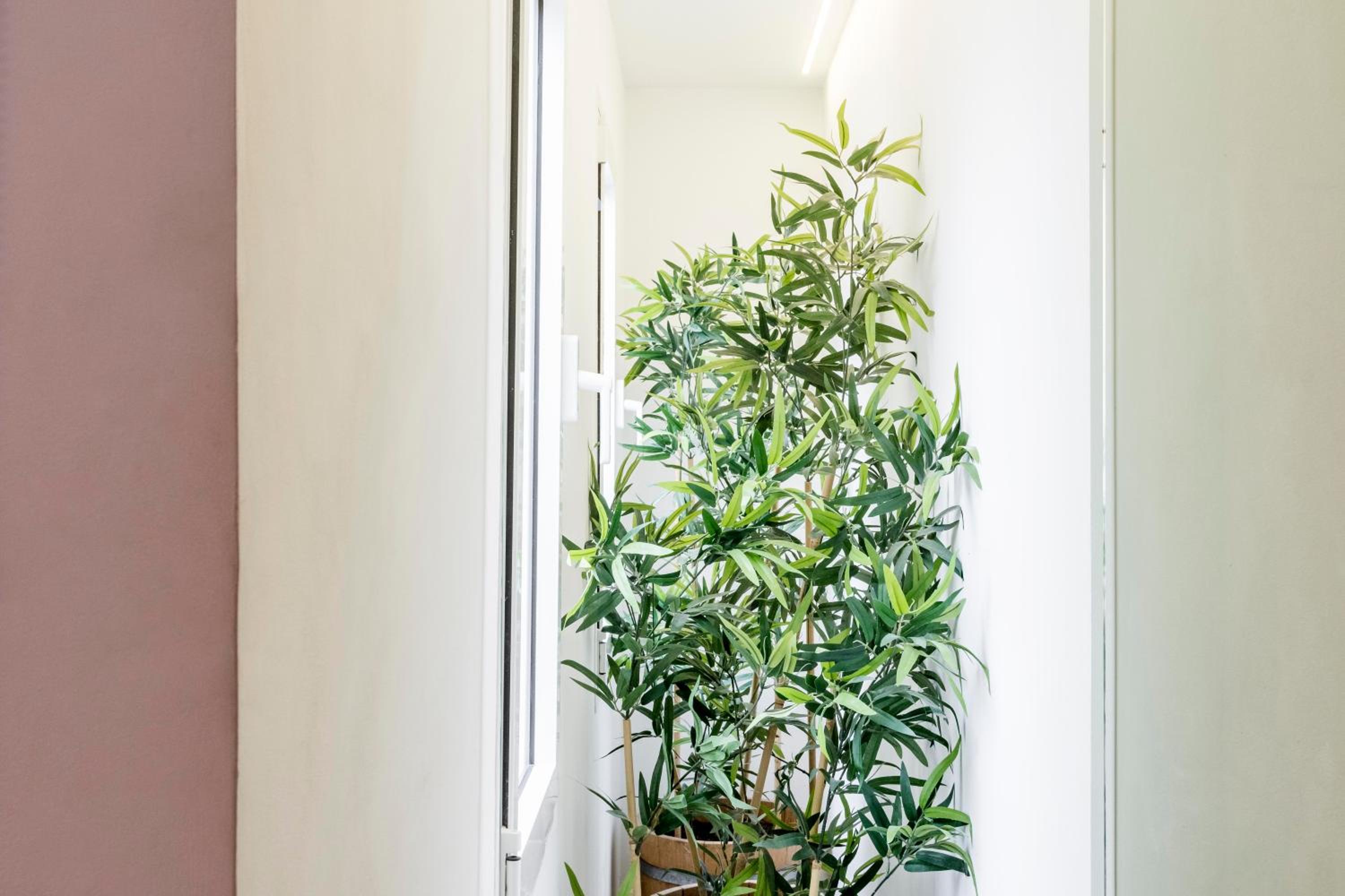 Studio Apartment photo 3