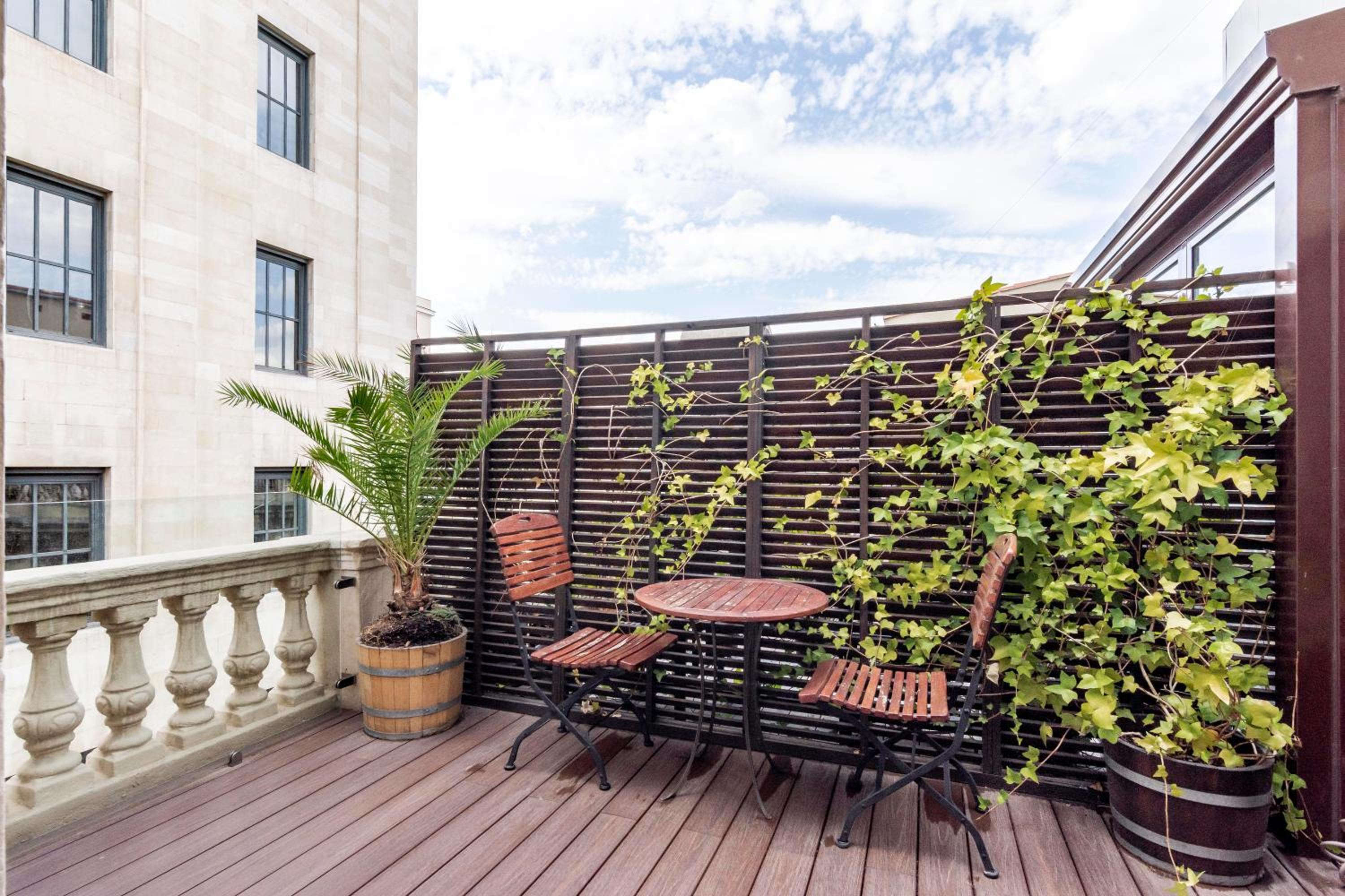 Studio with Terrace photo 3