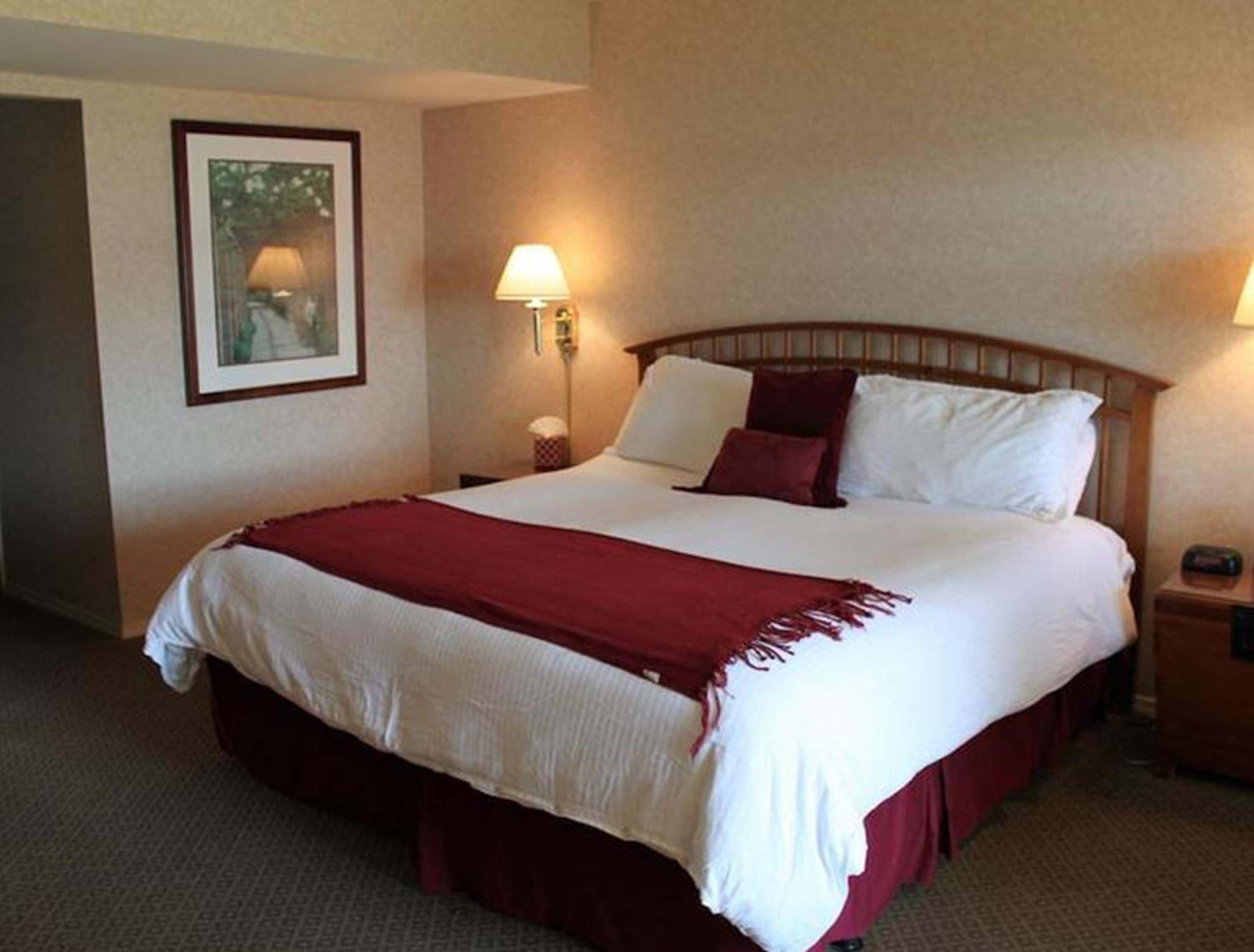 King Room with Garden View