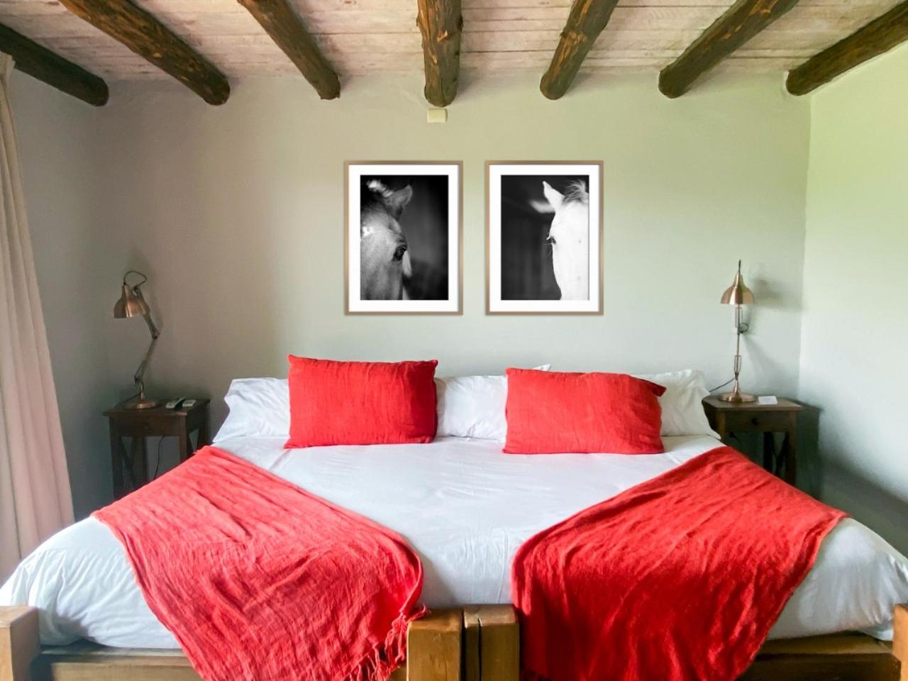 Superior Twin Room photo 1