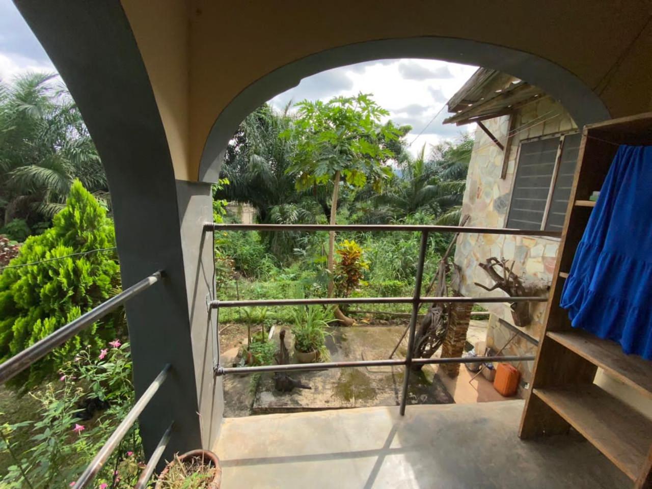 One-Bedroom Apartment with Terrace photo 2