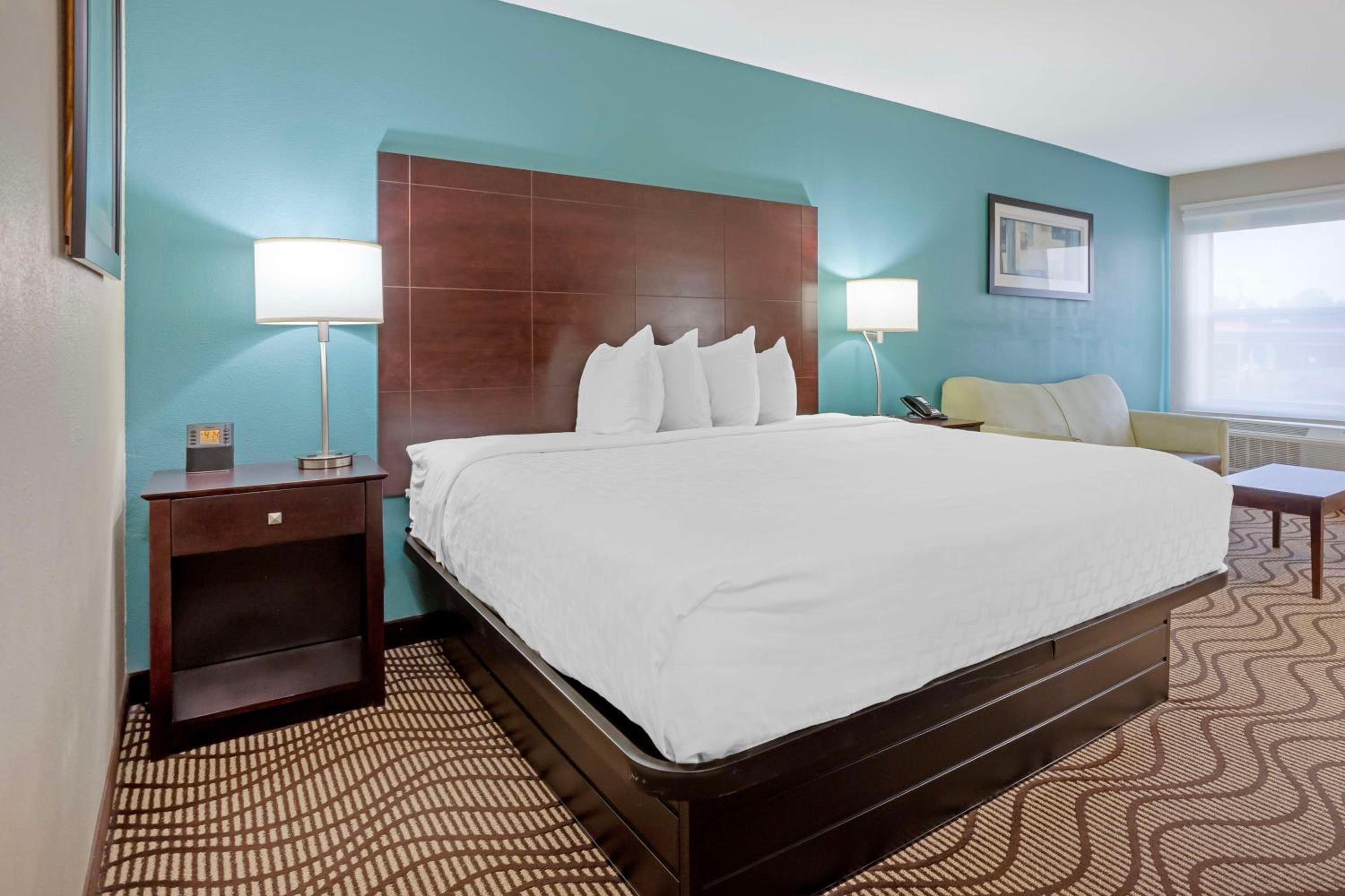 Large King Room with Sofa Bed - Non-Smoking - Photo 1