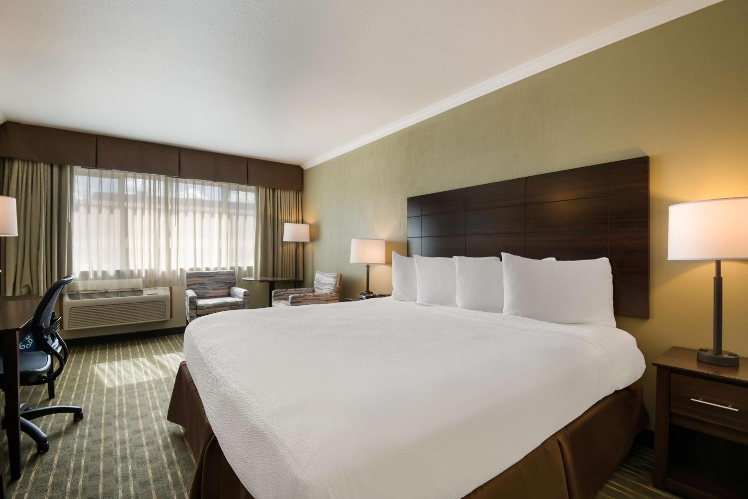 Standard King Bed Room - Photo 1