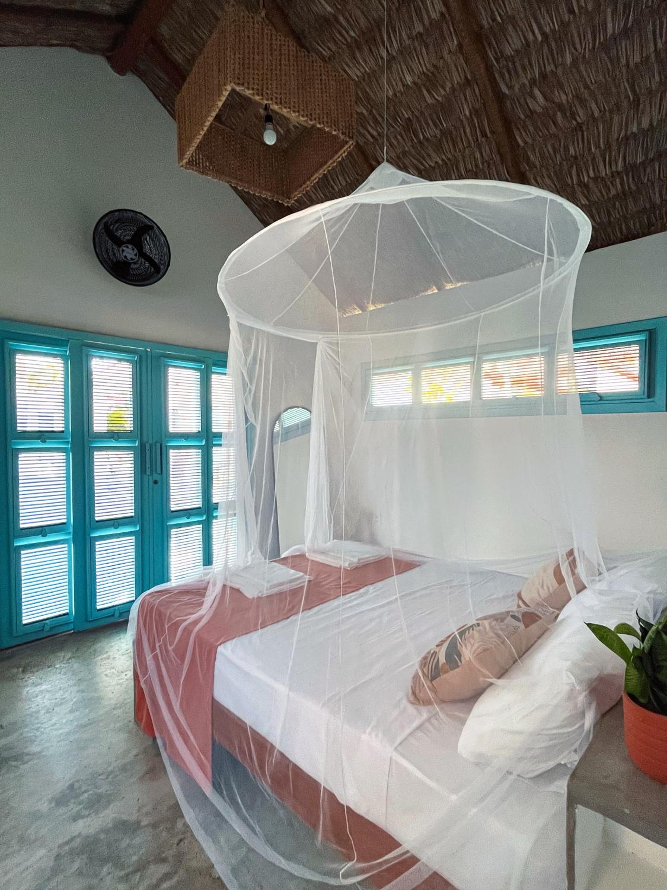 Queen Room with Pool View photo 3