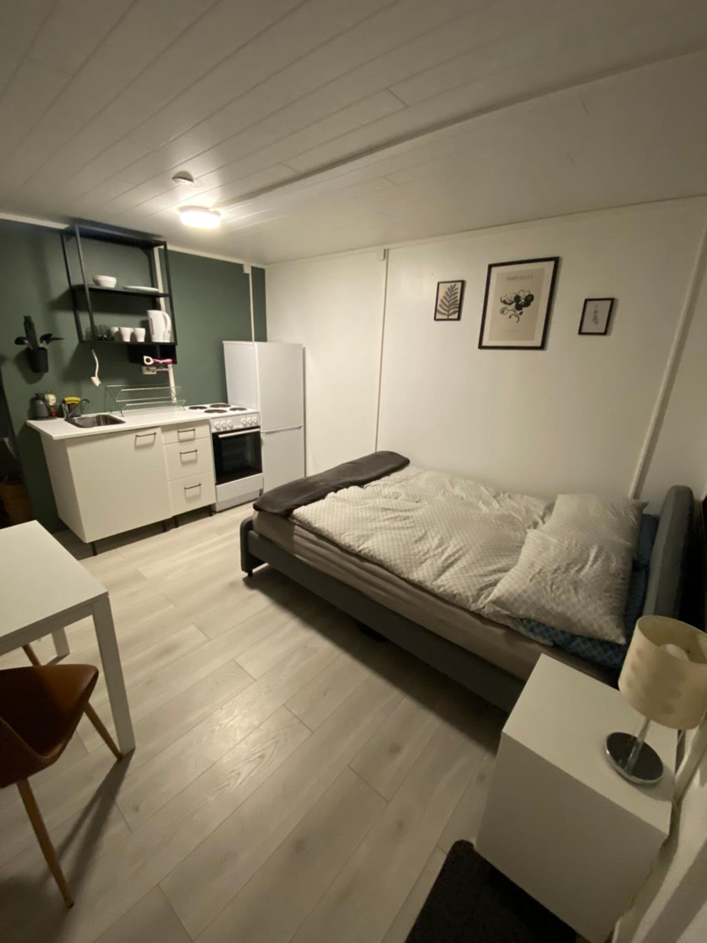One-Bedroom Apartment photo 3
