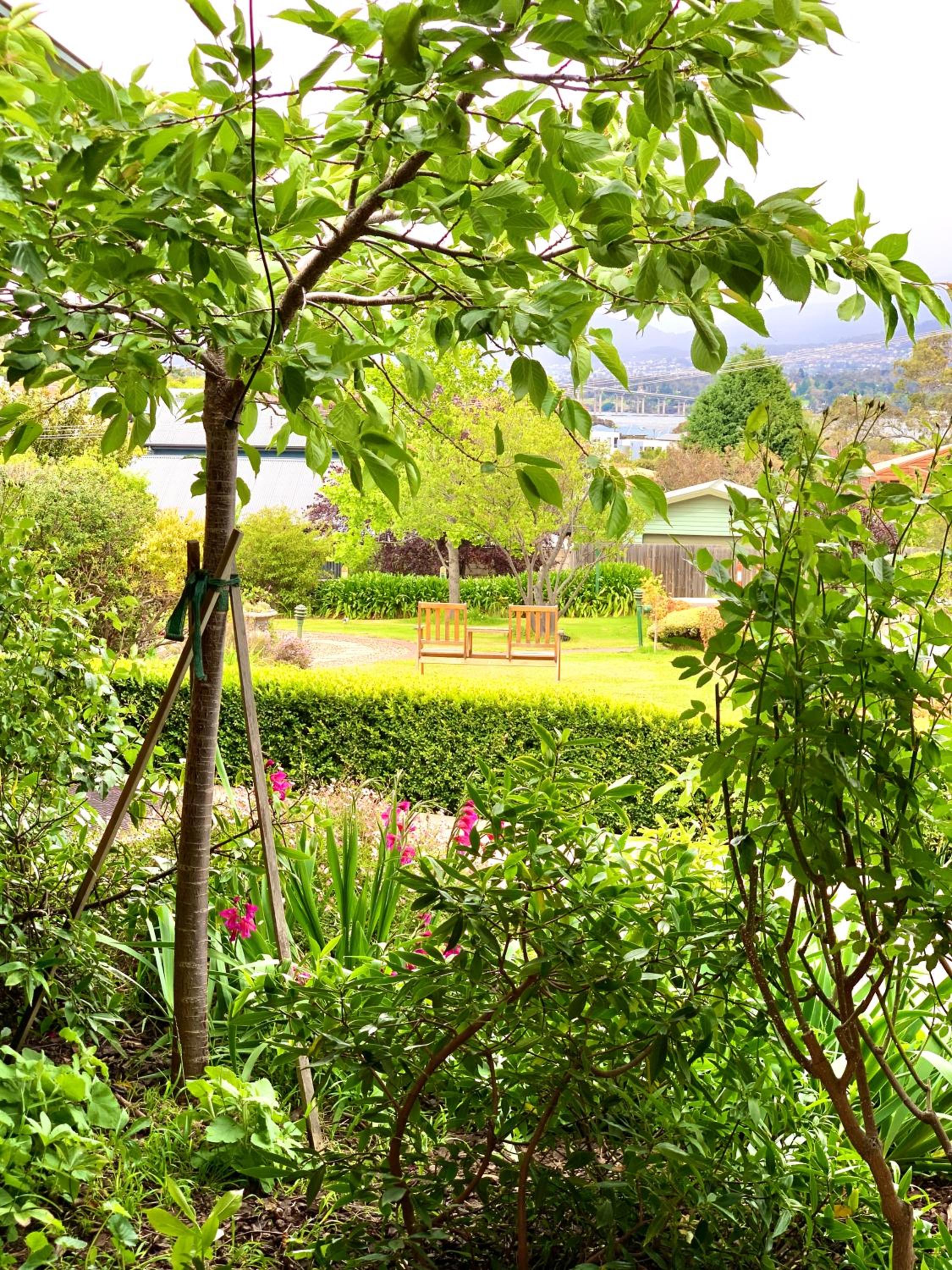 Deluxe Queen Room with Mountain View, River View and Garden View photo 3