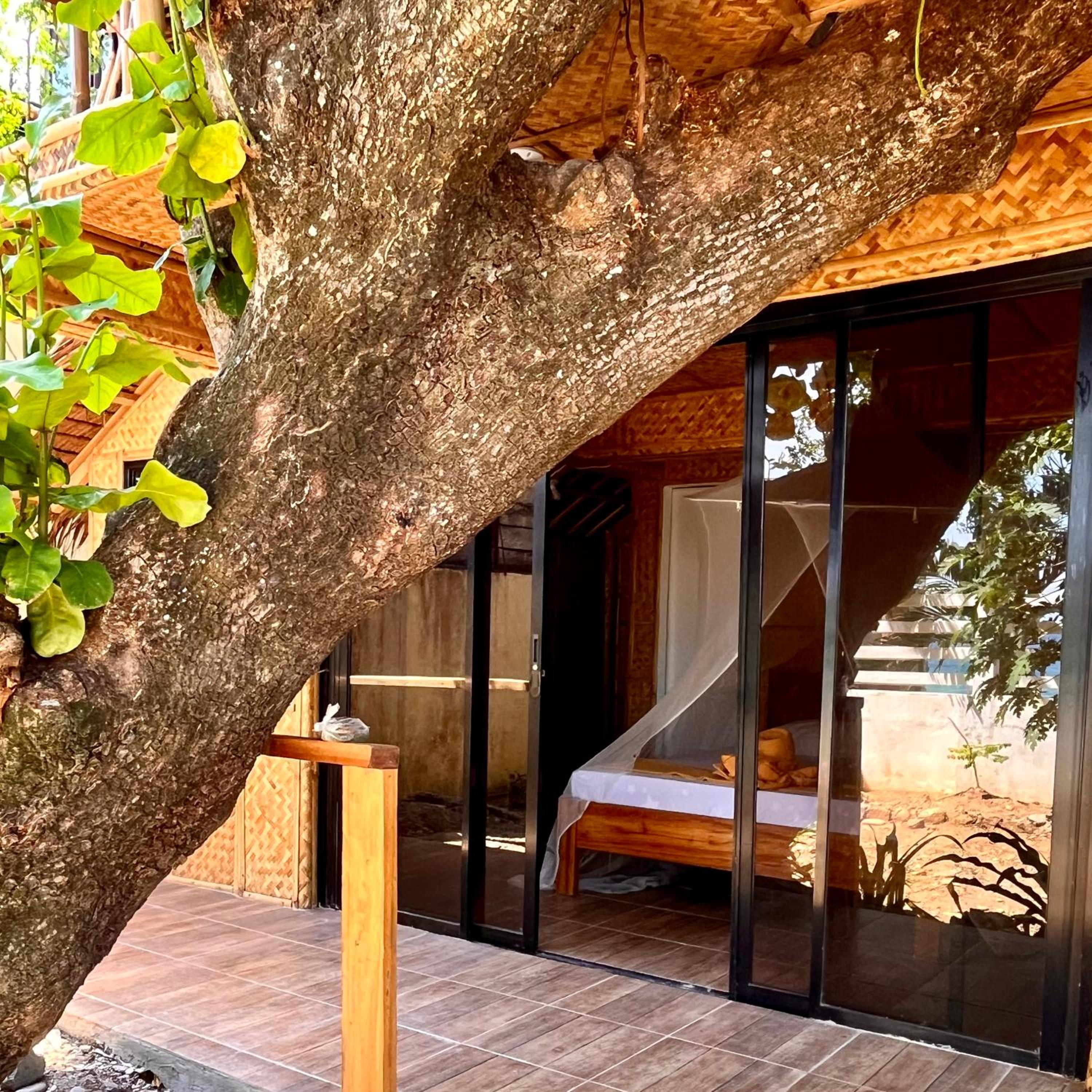 Bungalow with Sea View photo 1