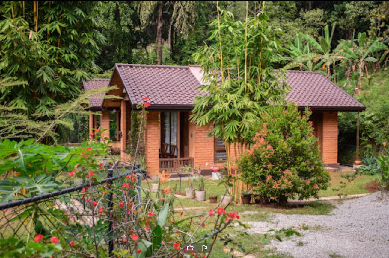 One-Bedroom Villa photo 1