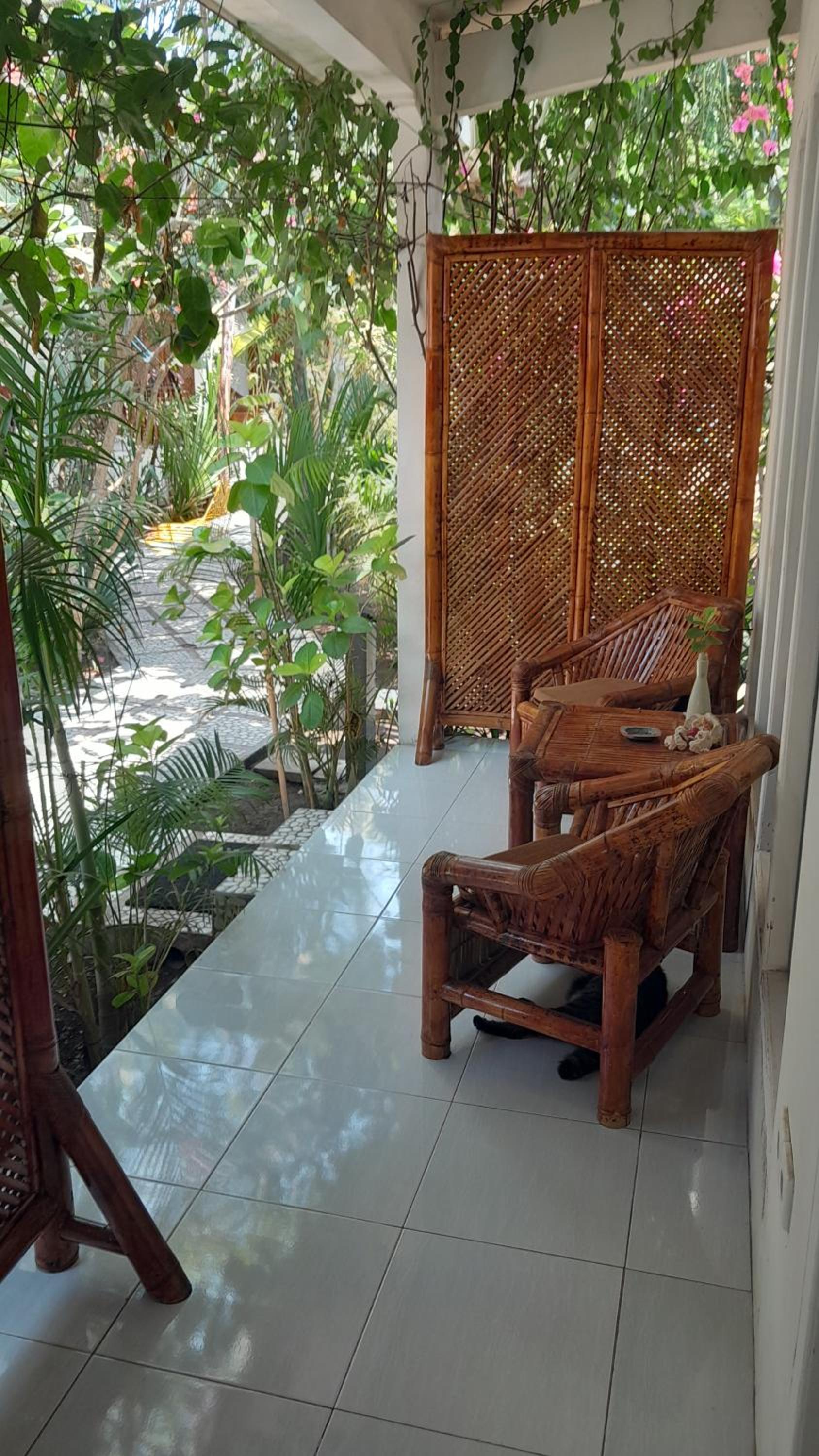 Family Room with Terrace photo 3