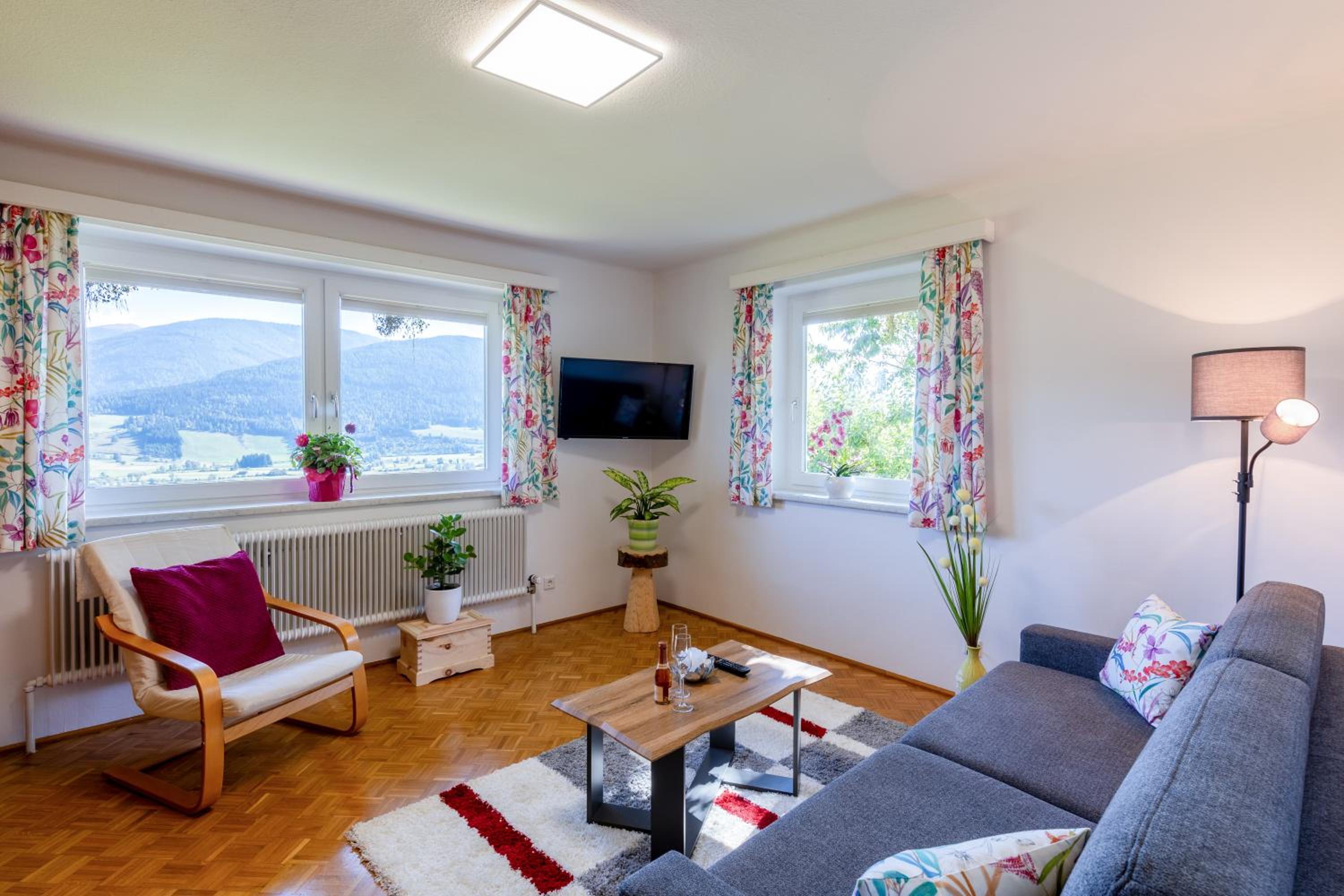 One-Bedroom Apartment with View