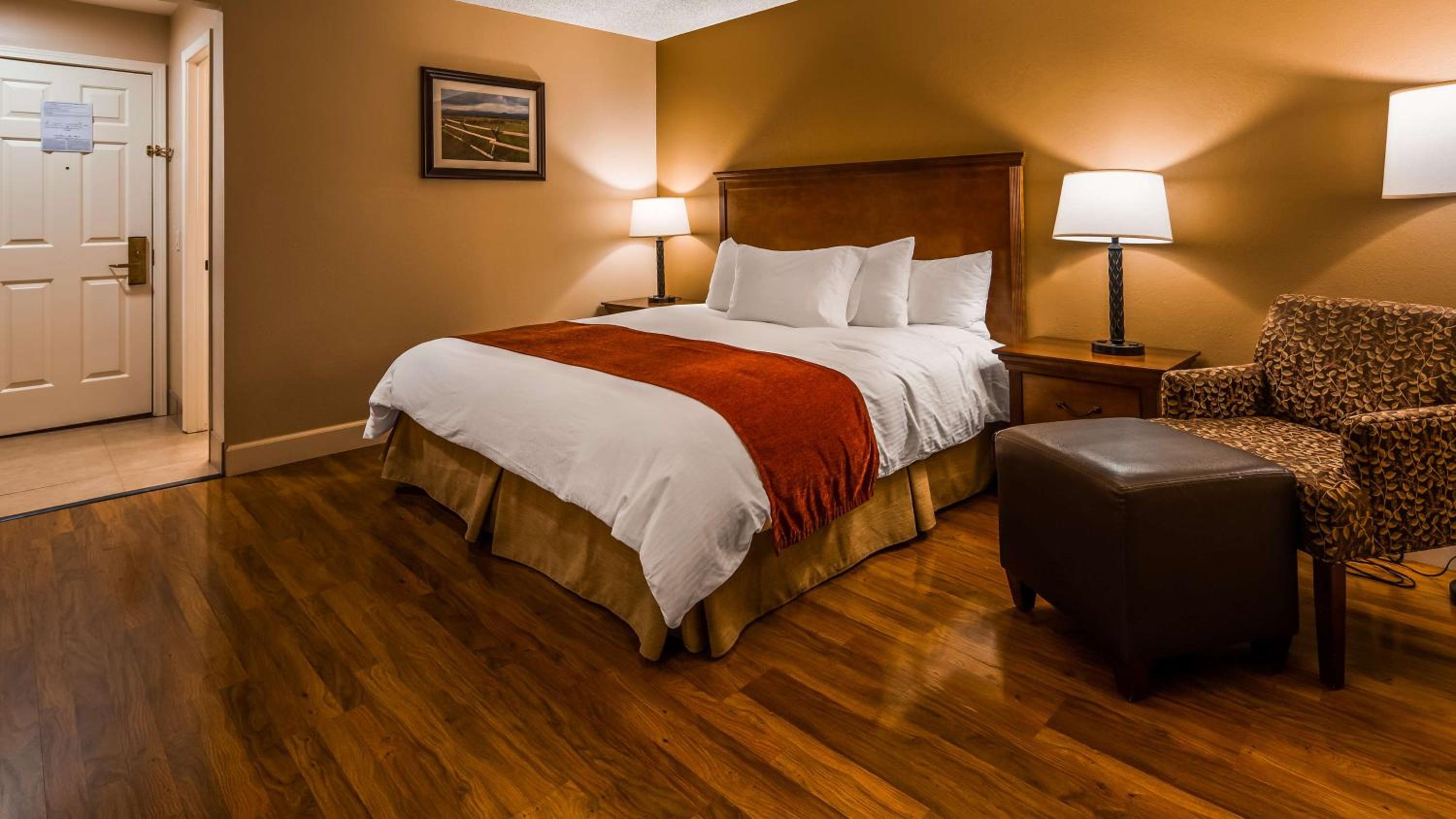 King Room - Non-Smoking/ Pet Friendly Room - Photo 3