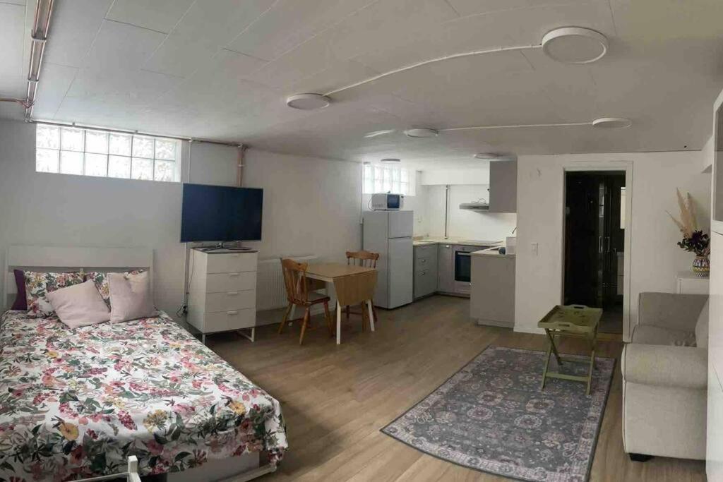 One-Bedroom Apartment photo 1