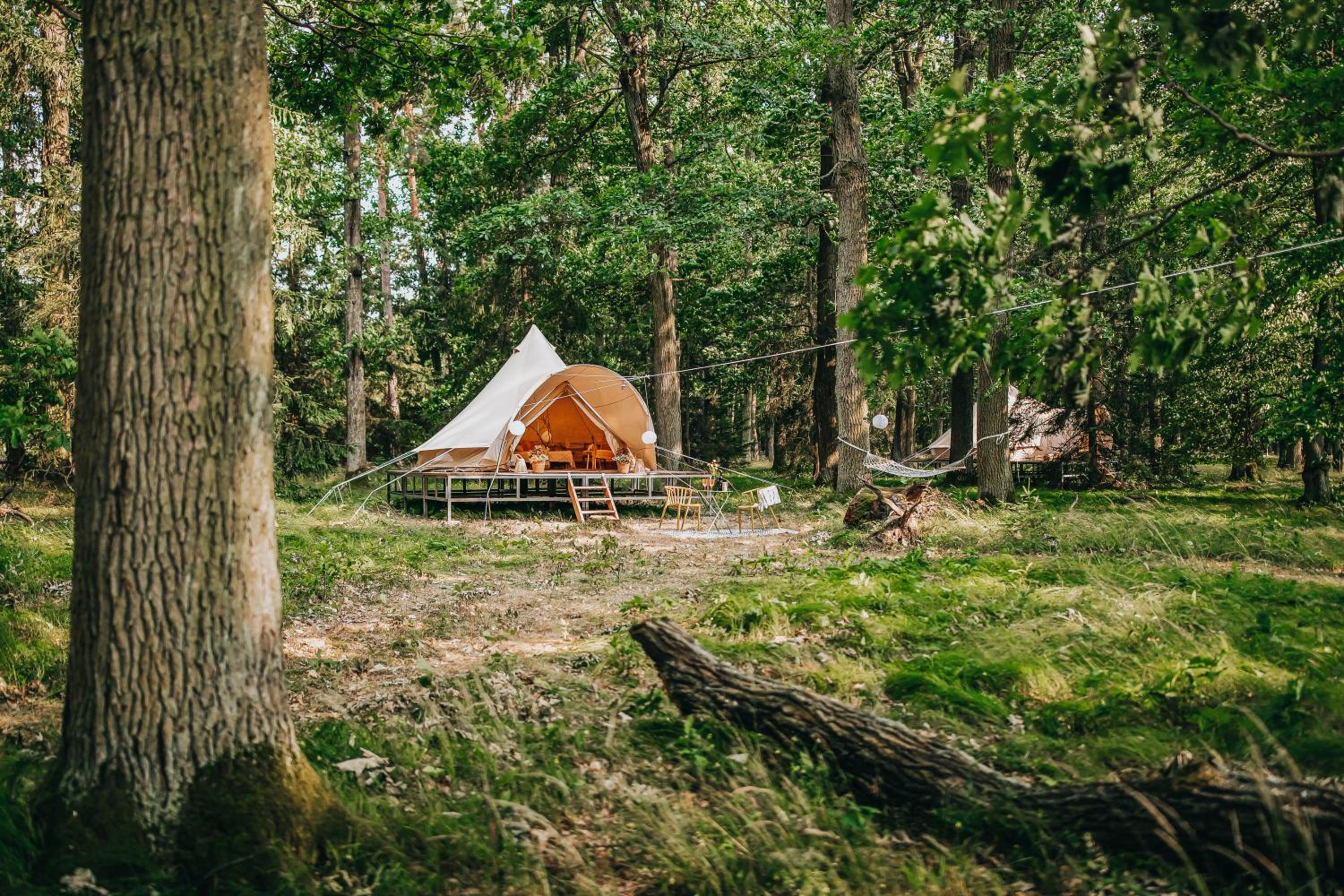 Tent photo 2