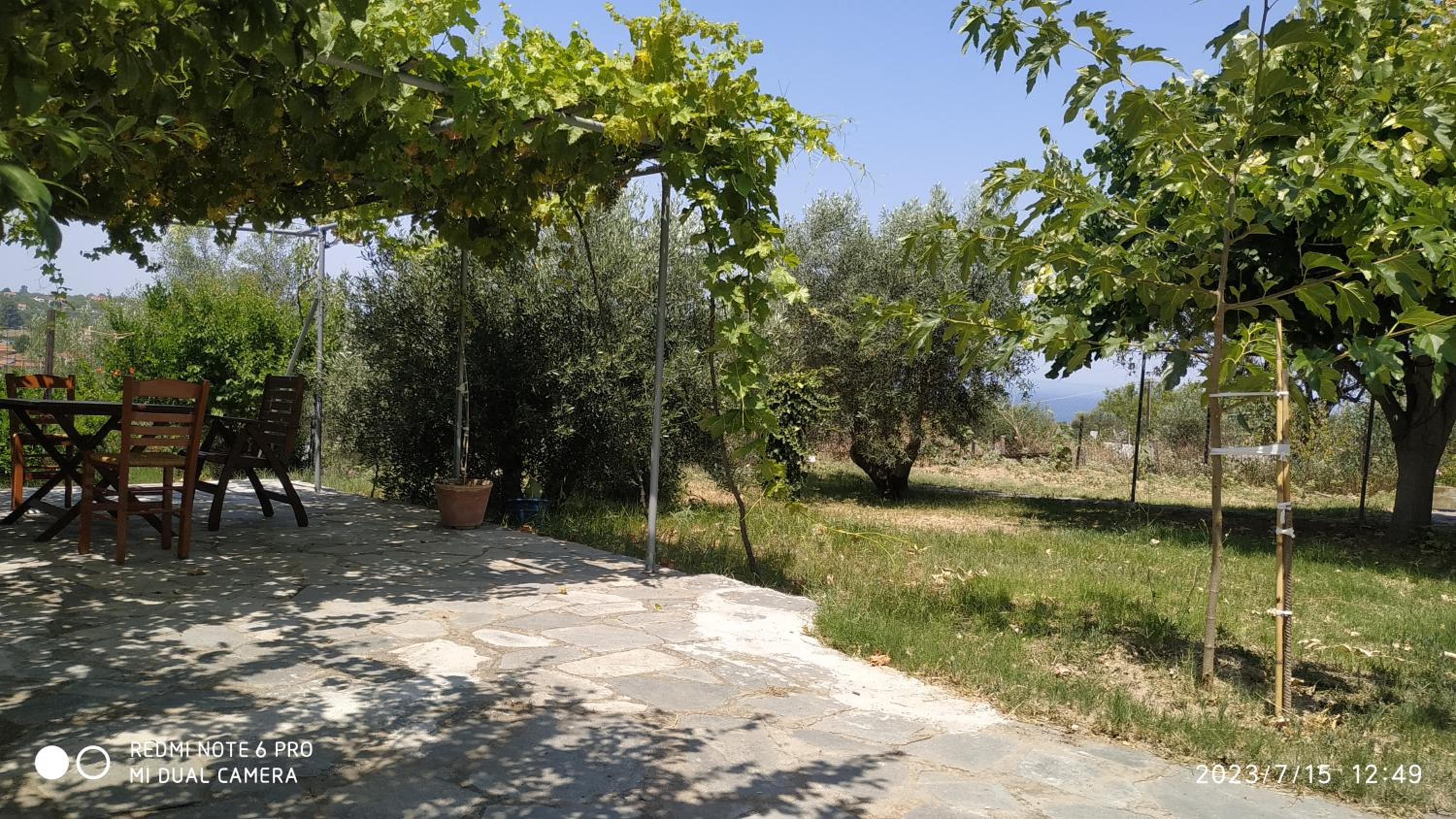 One-Bedroom Villa photo 2