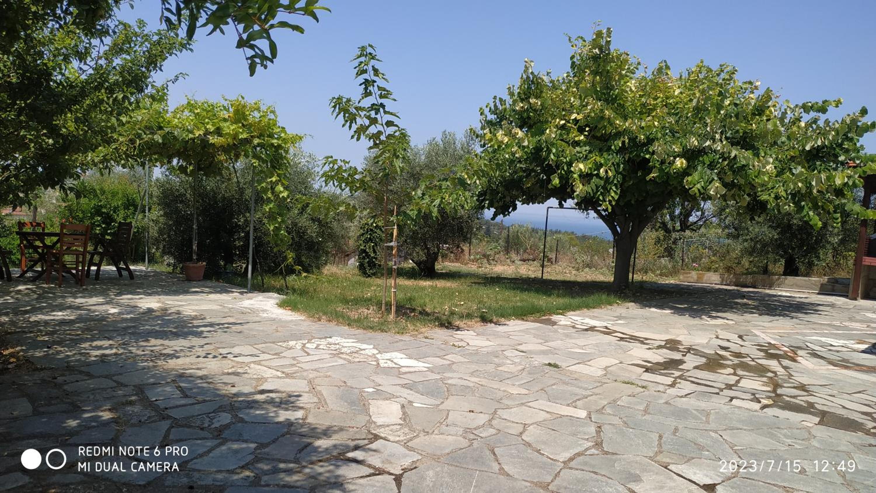 One-Bedroom Villa photo 3