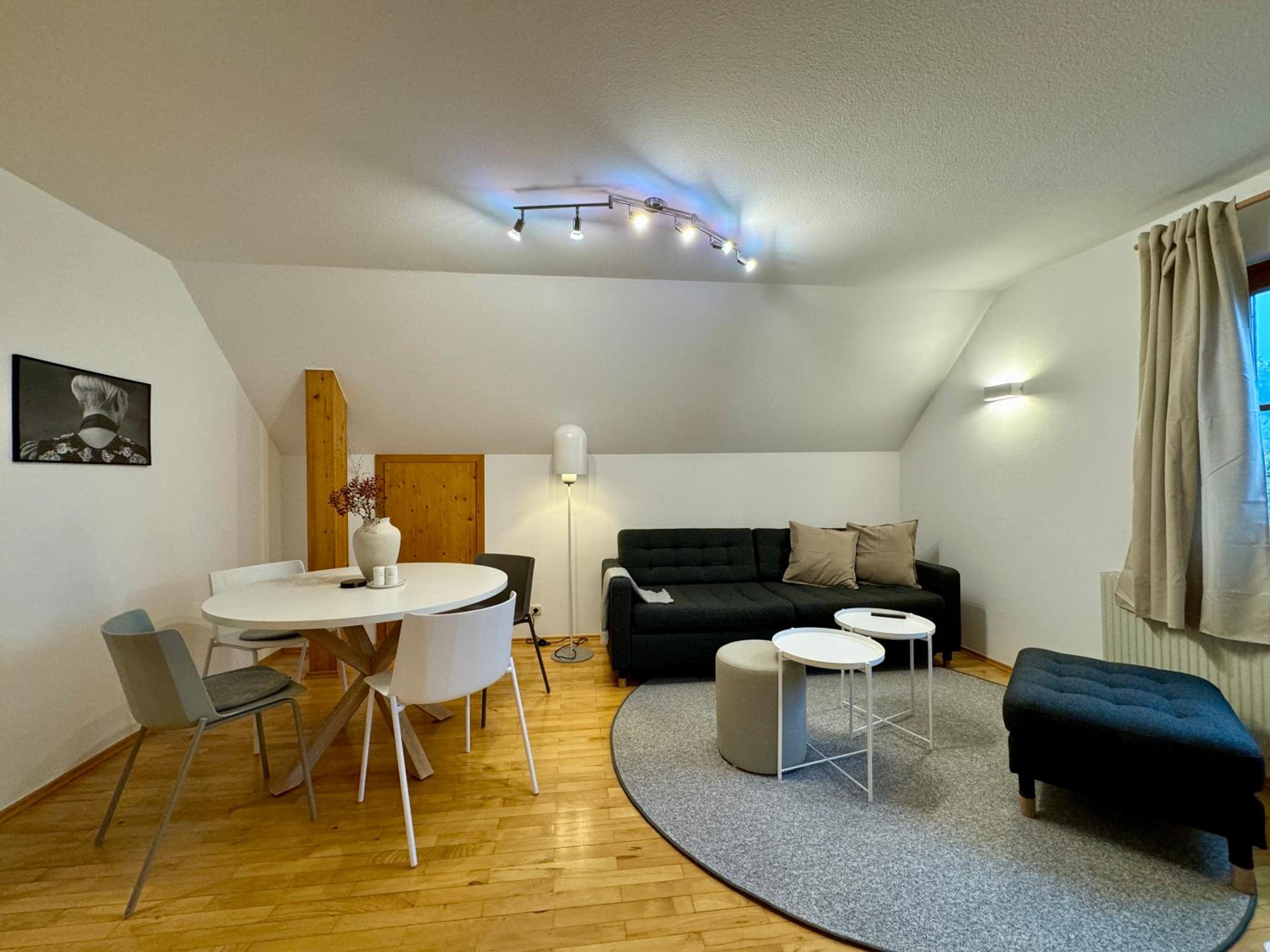 Apartment with Mountain View photo 3