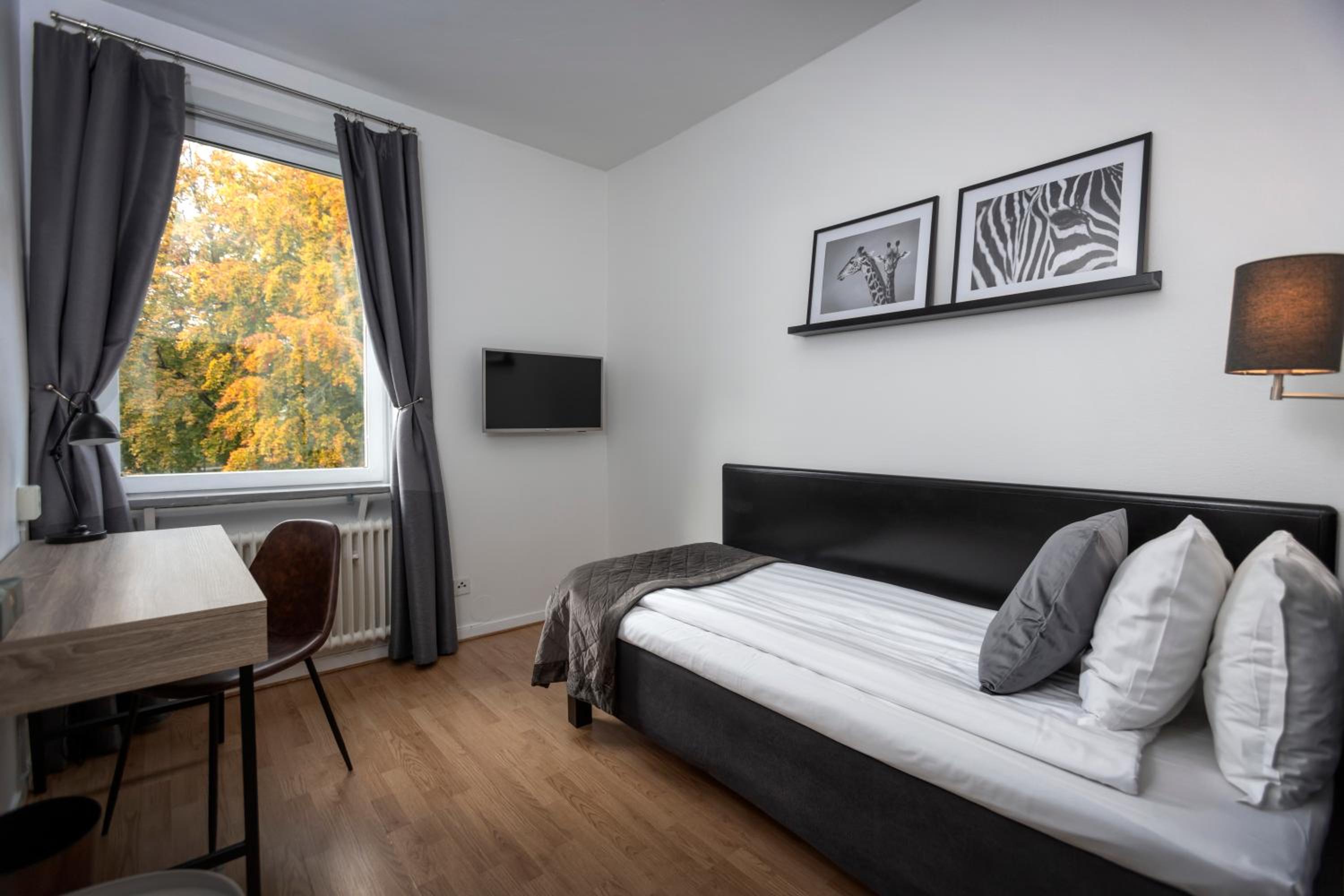 Single Room photo 1