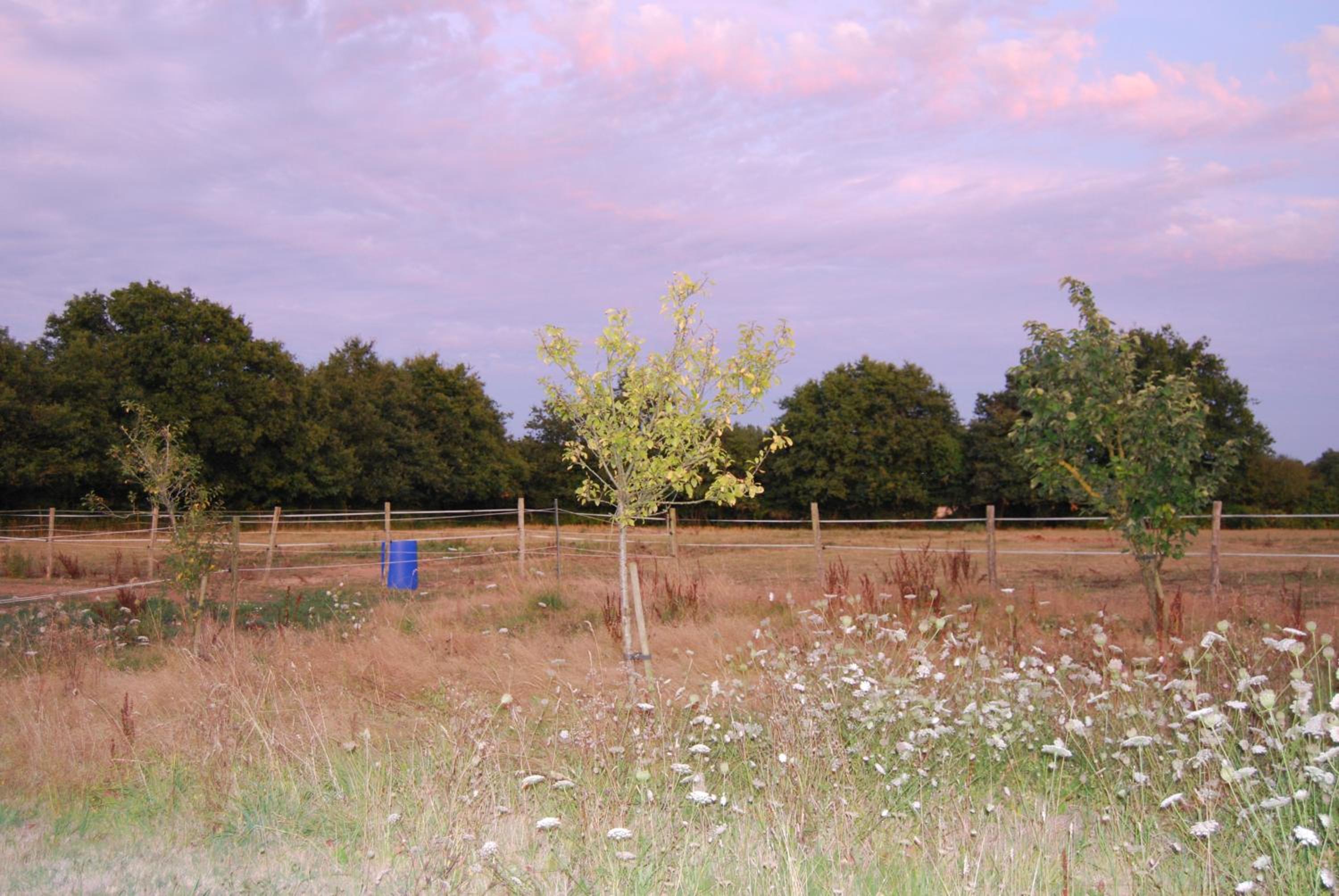 Holiday Home photo 3