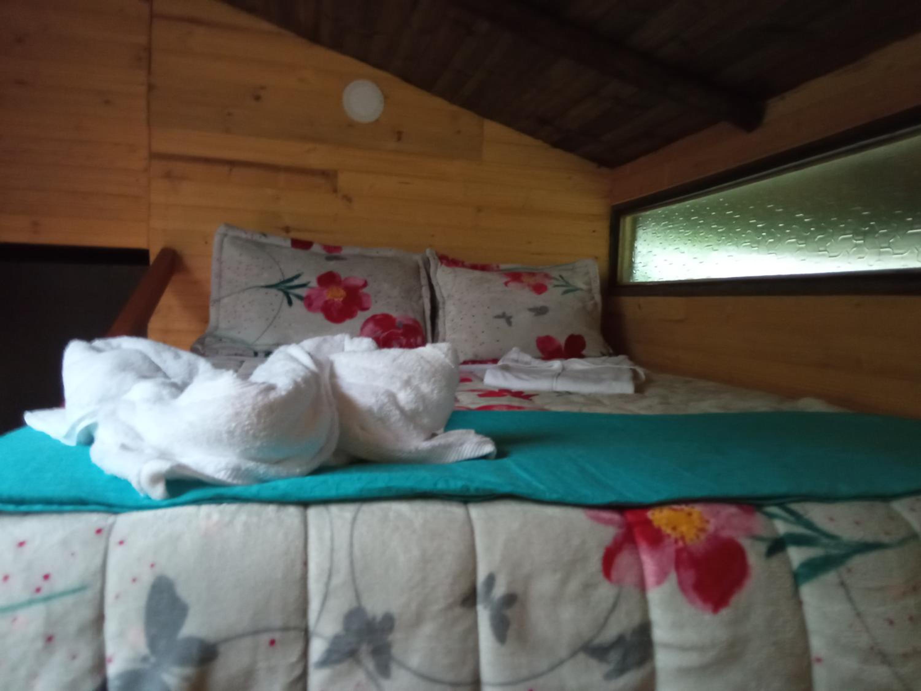 One-Bedroom House photo 1