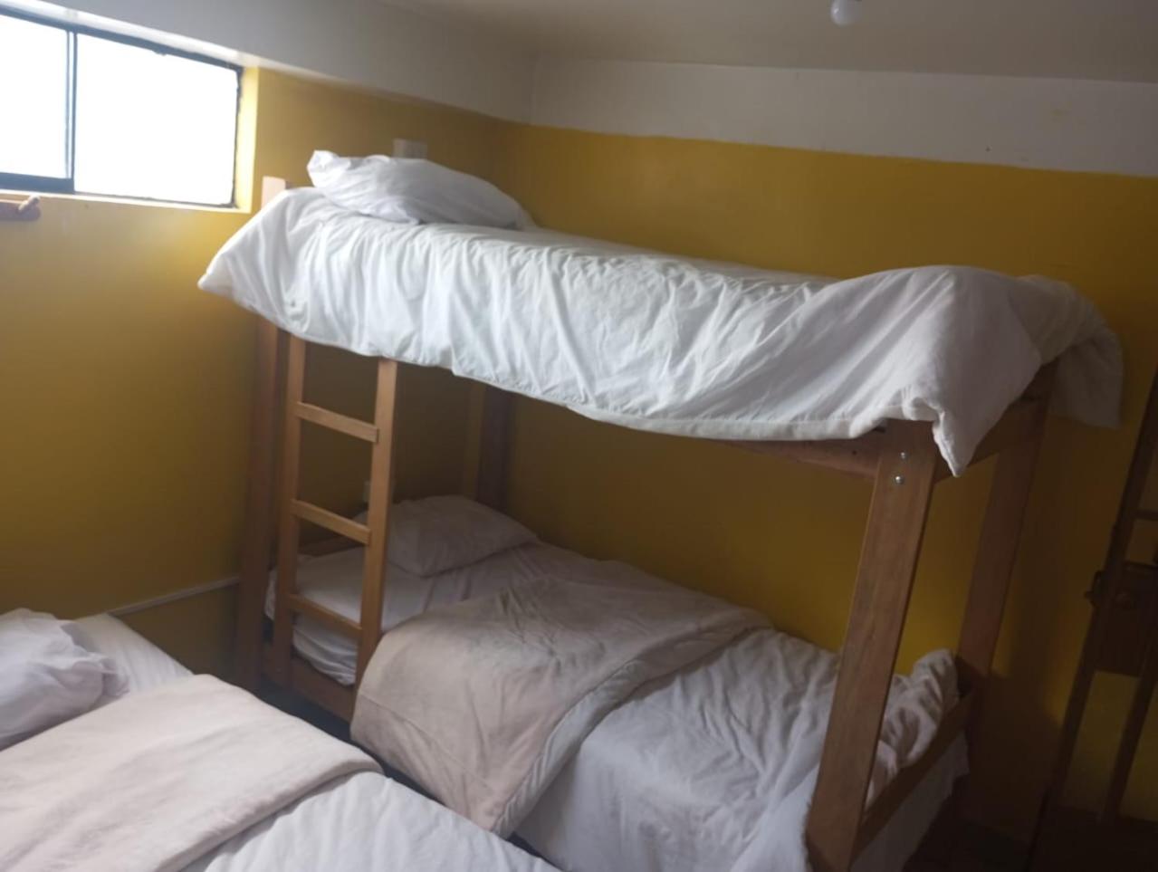Single Bed in 6-Bed Dormitory Room photo 1