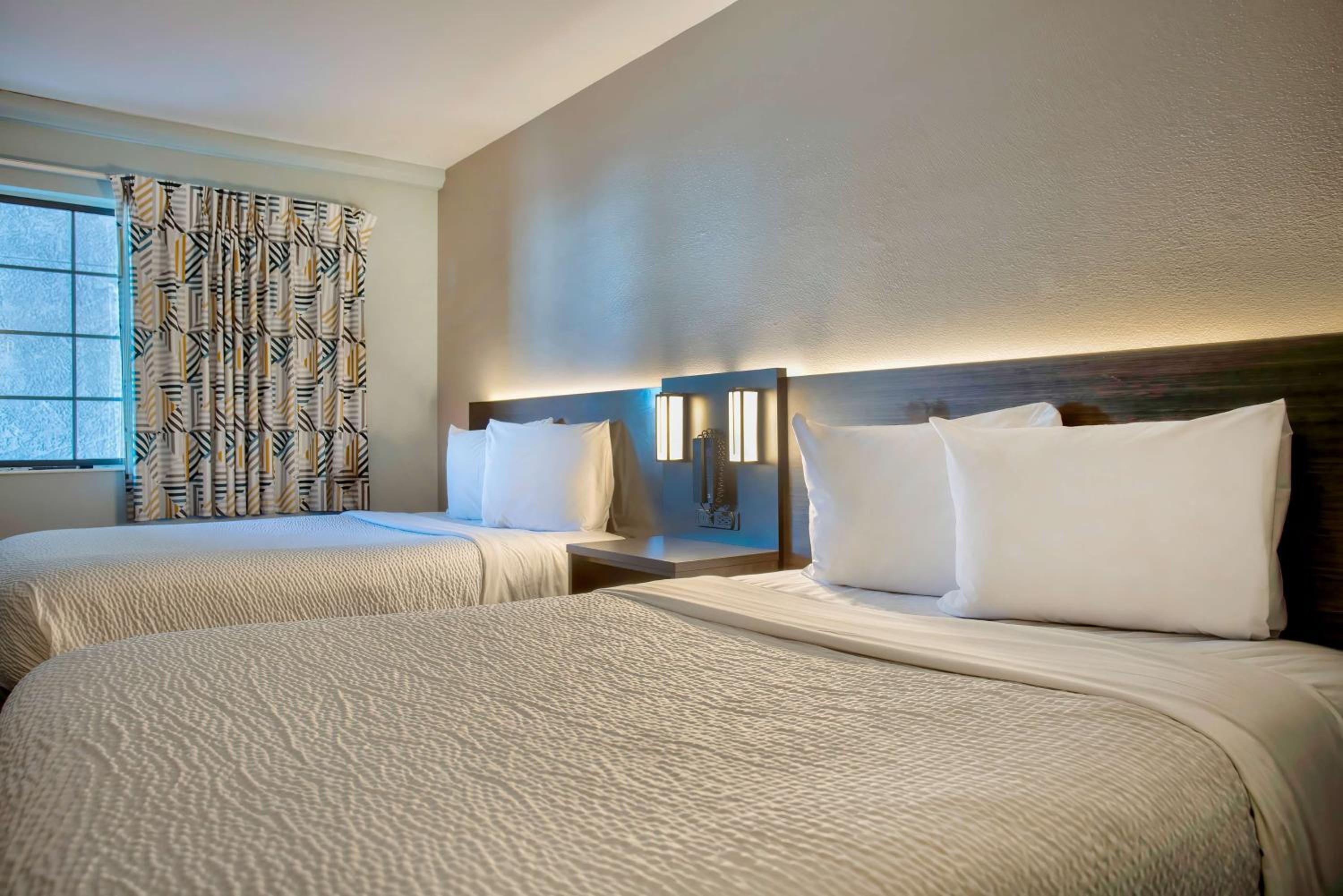 Quadruple Room - Disability Access photo 3