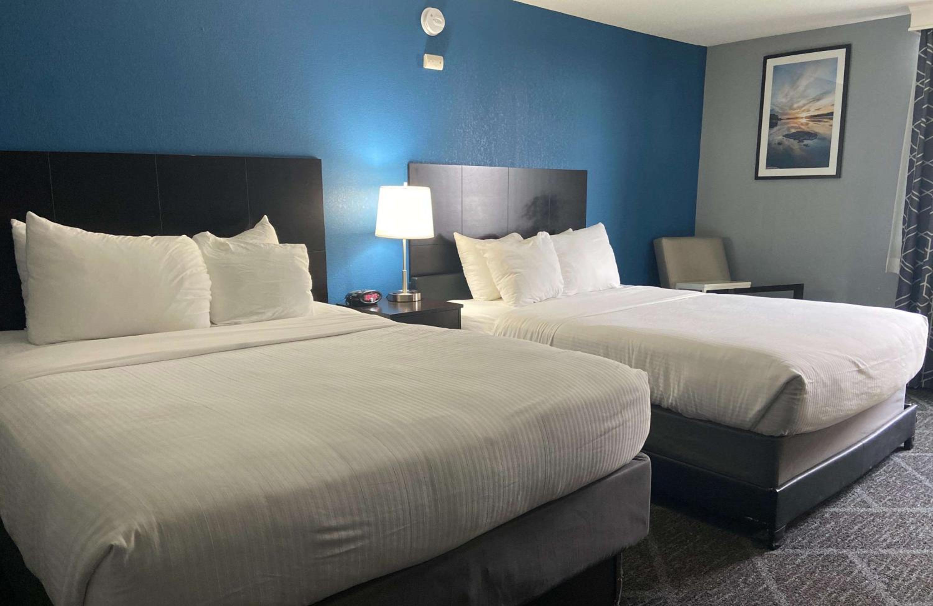 Large Queen Room With Two Queen Beds - Photo 1