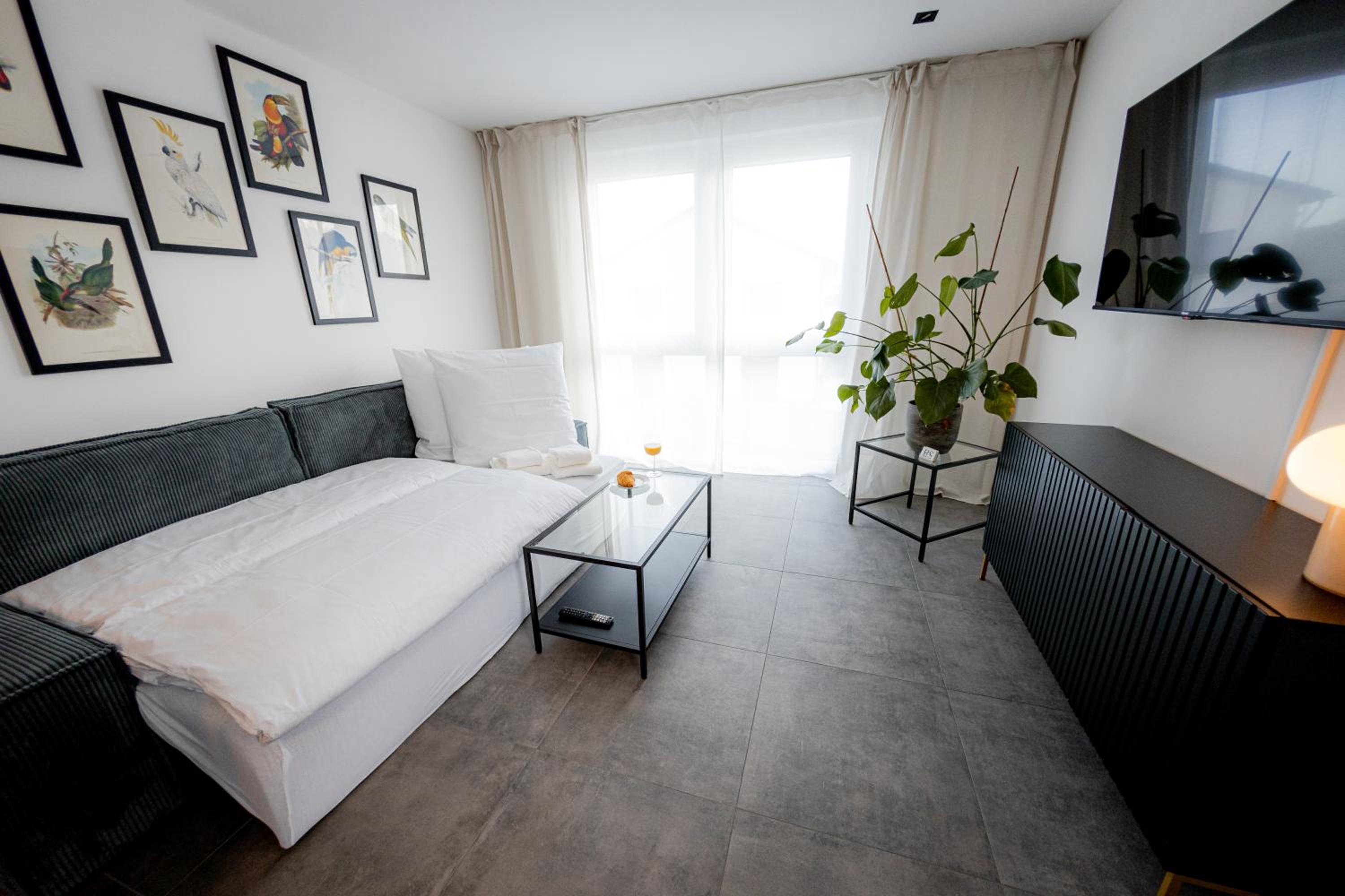 Apartment with Balcony photo 2