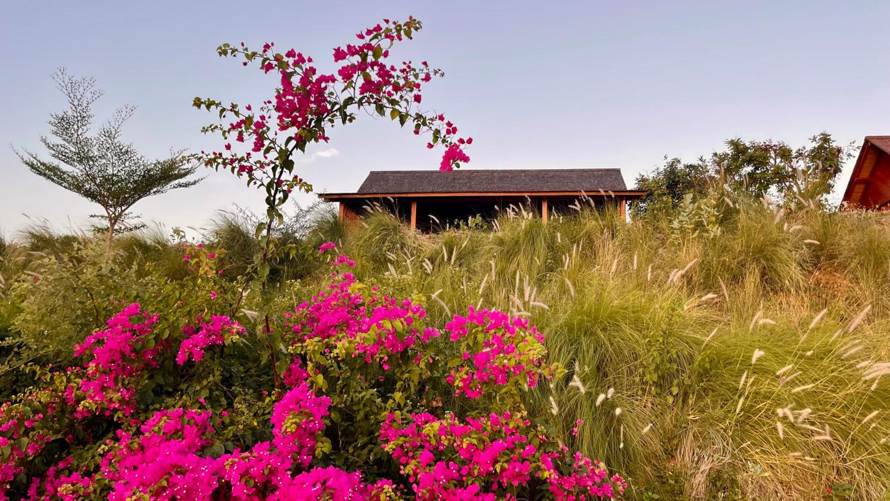 Villa with Private Pool photo 2