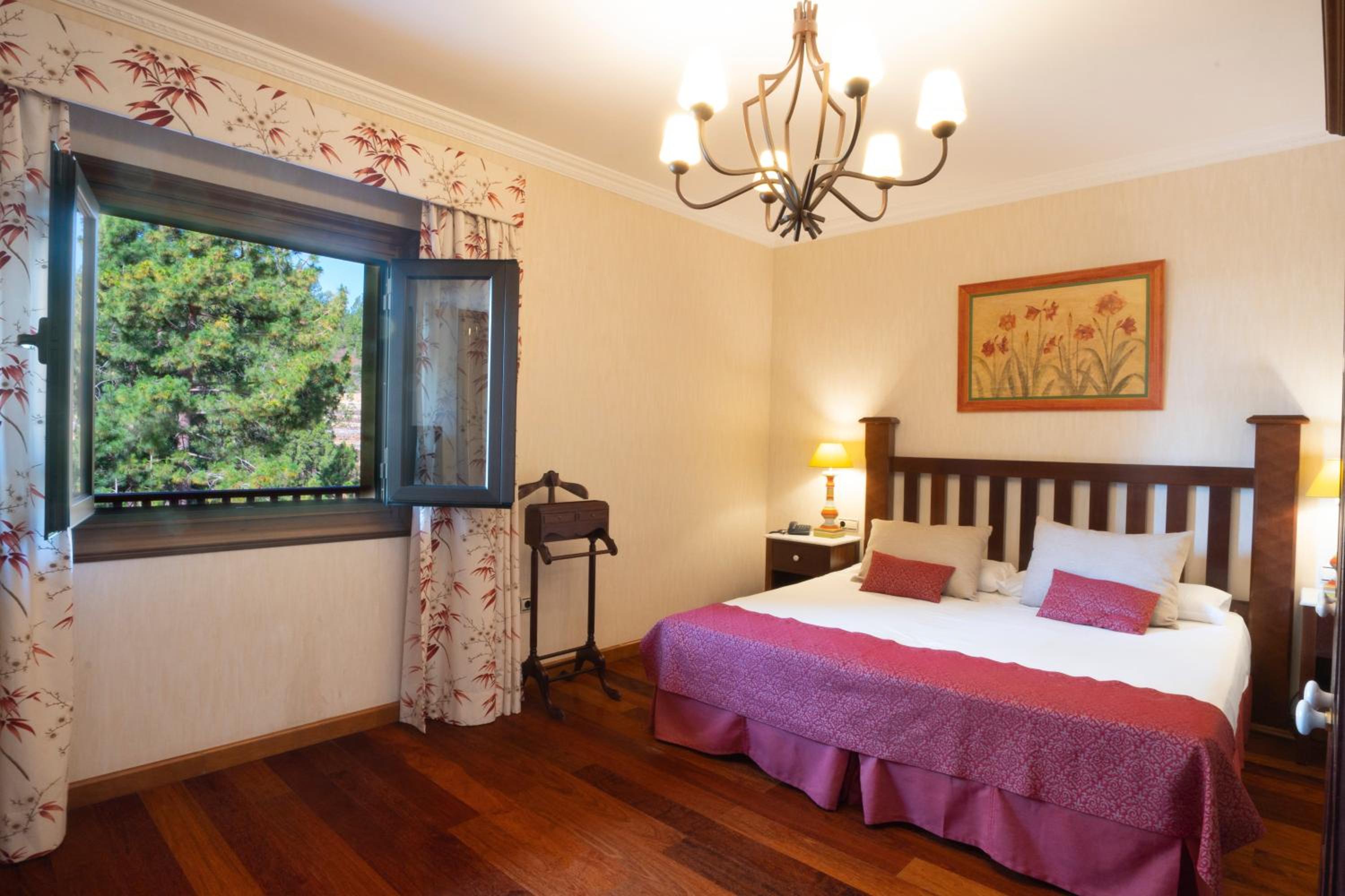 Suite Junior con Vista al Jardín