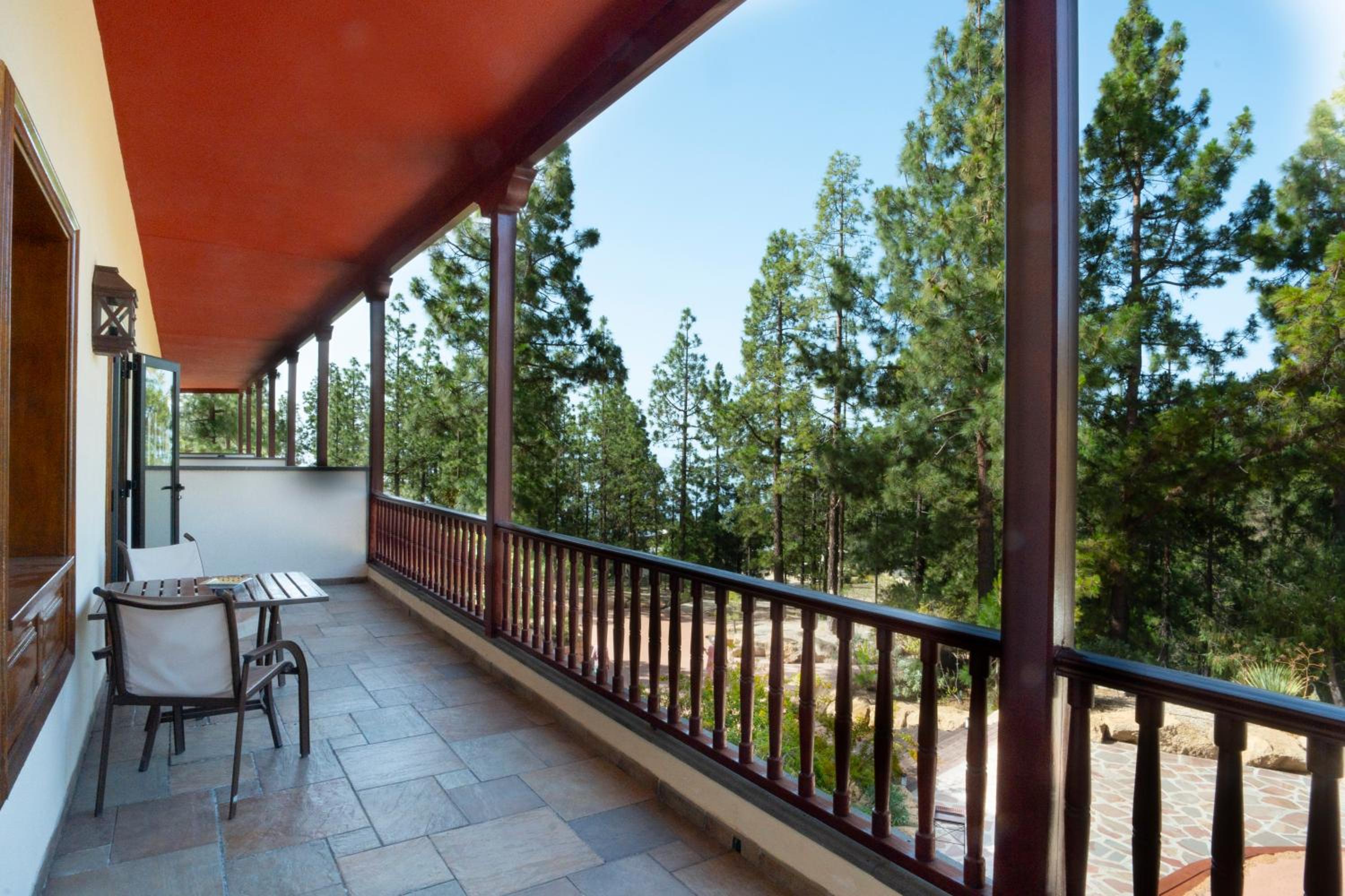 Suite Junior con Vista al Jardín