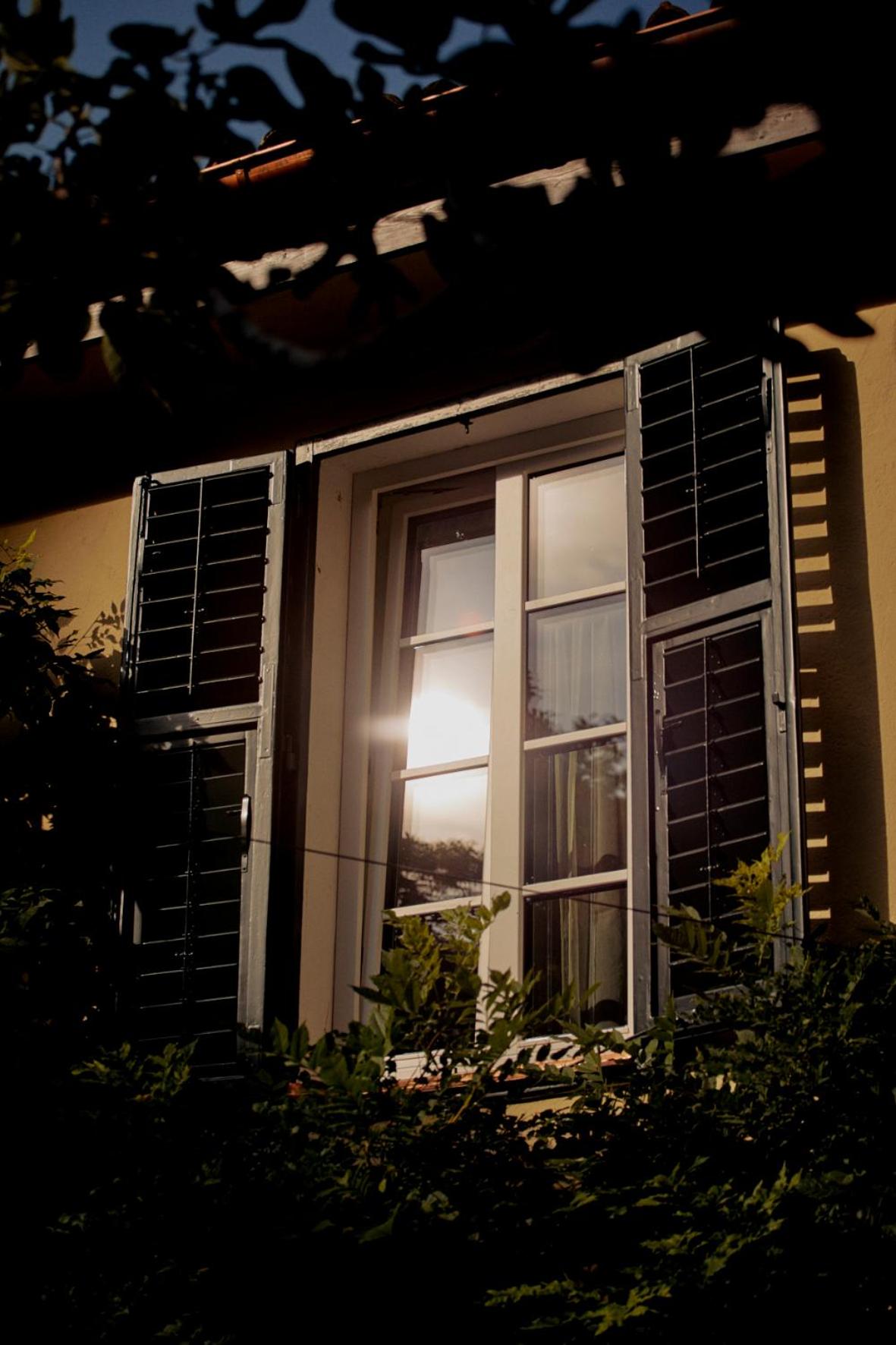 Suite with Garden View - Photo 9