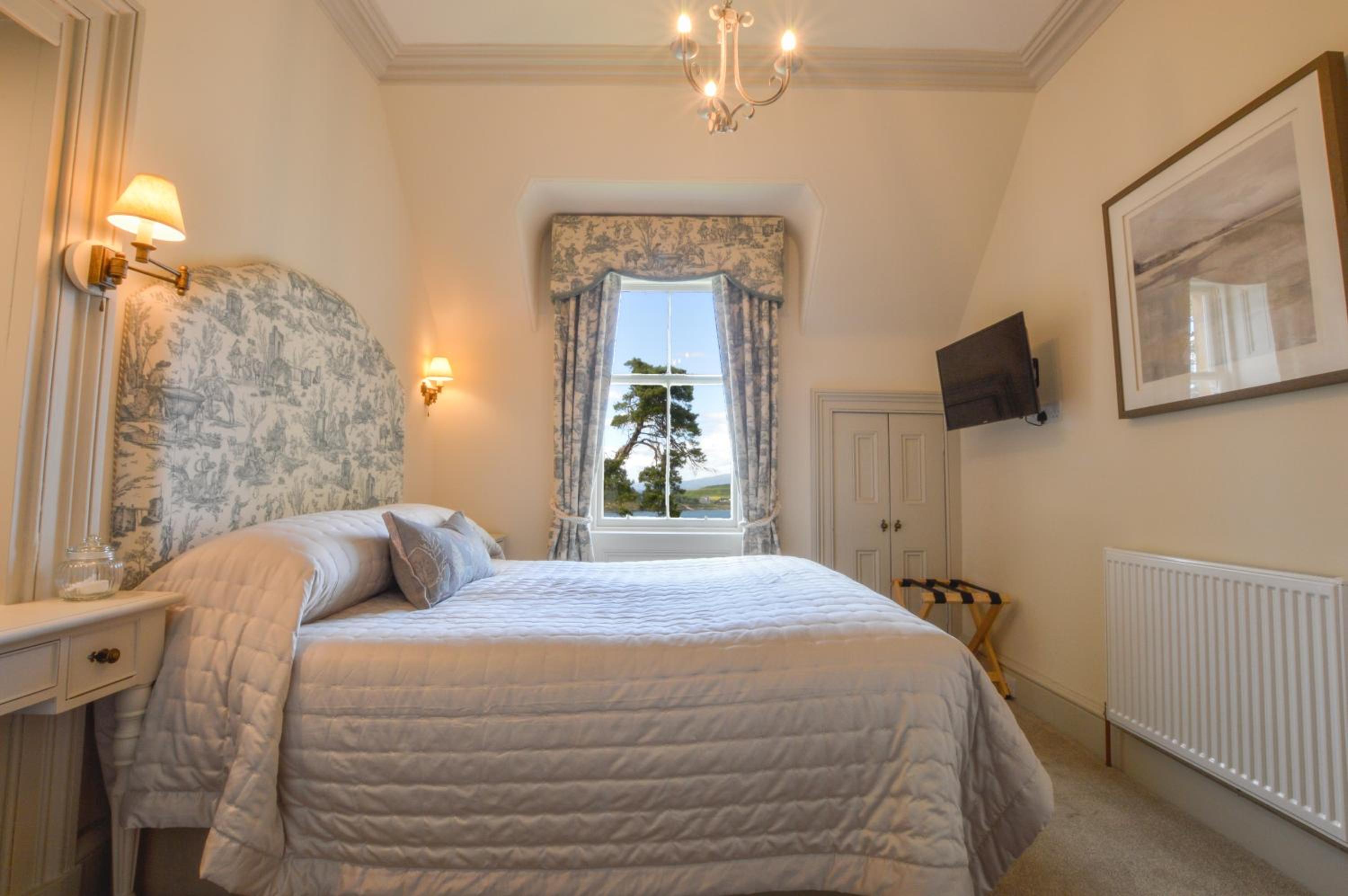 King Room photo 2