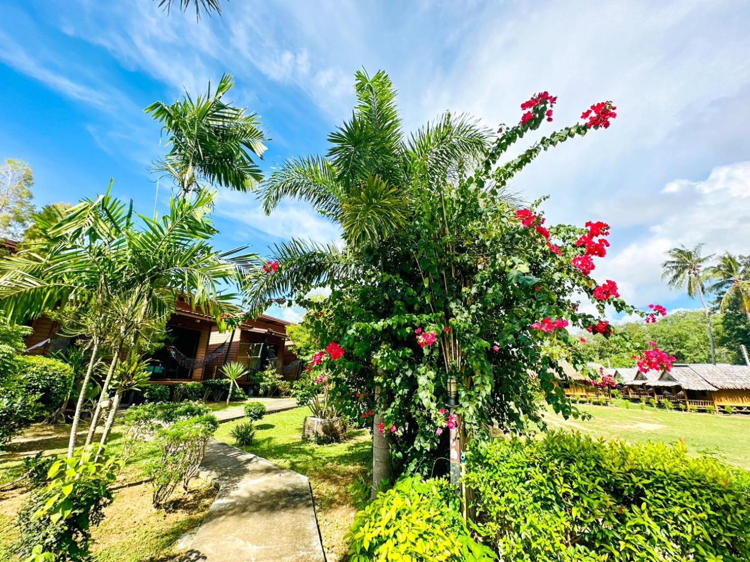 Bungalow with Garden View photo 3