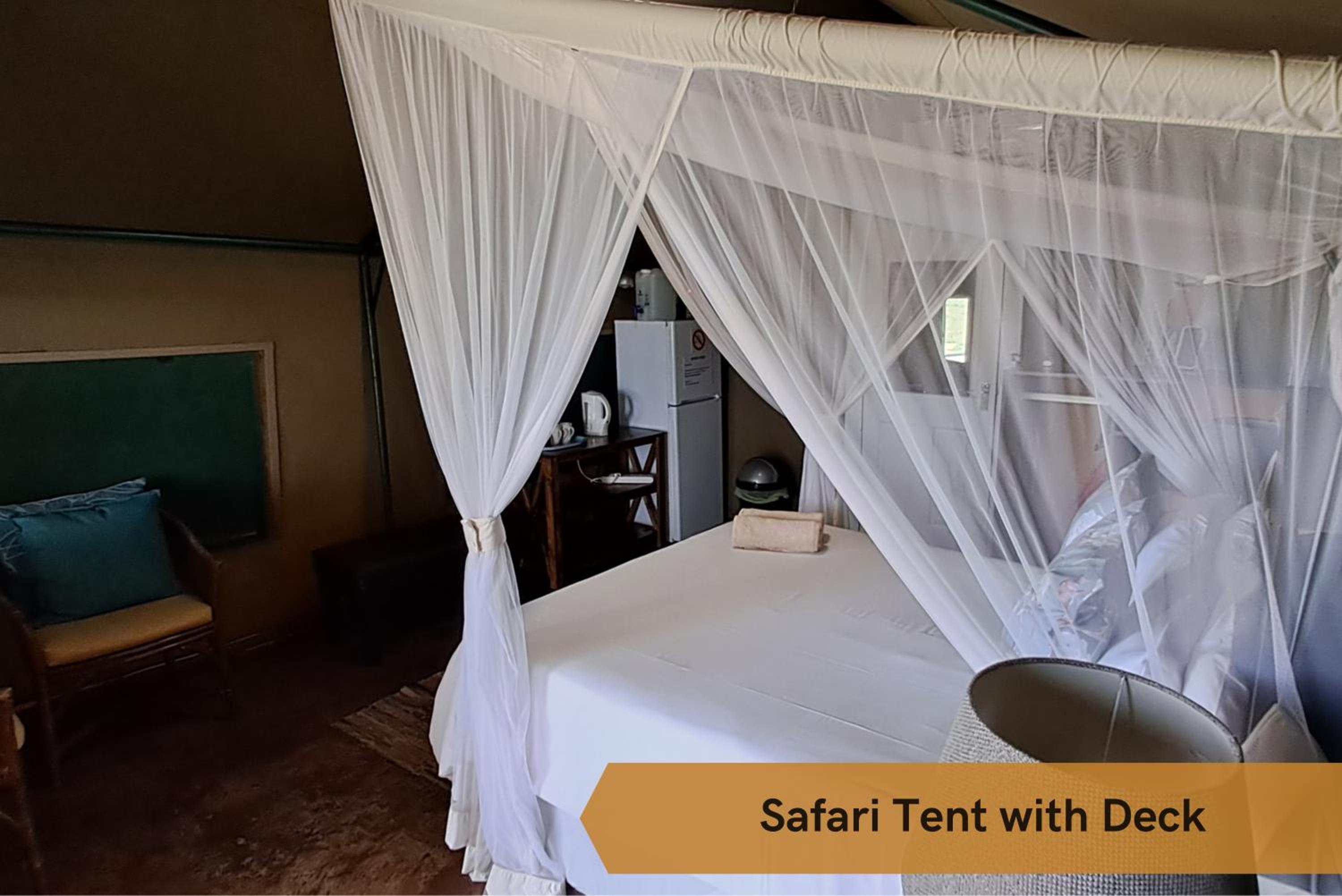 Safari Tent with Deck photo 1