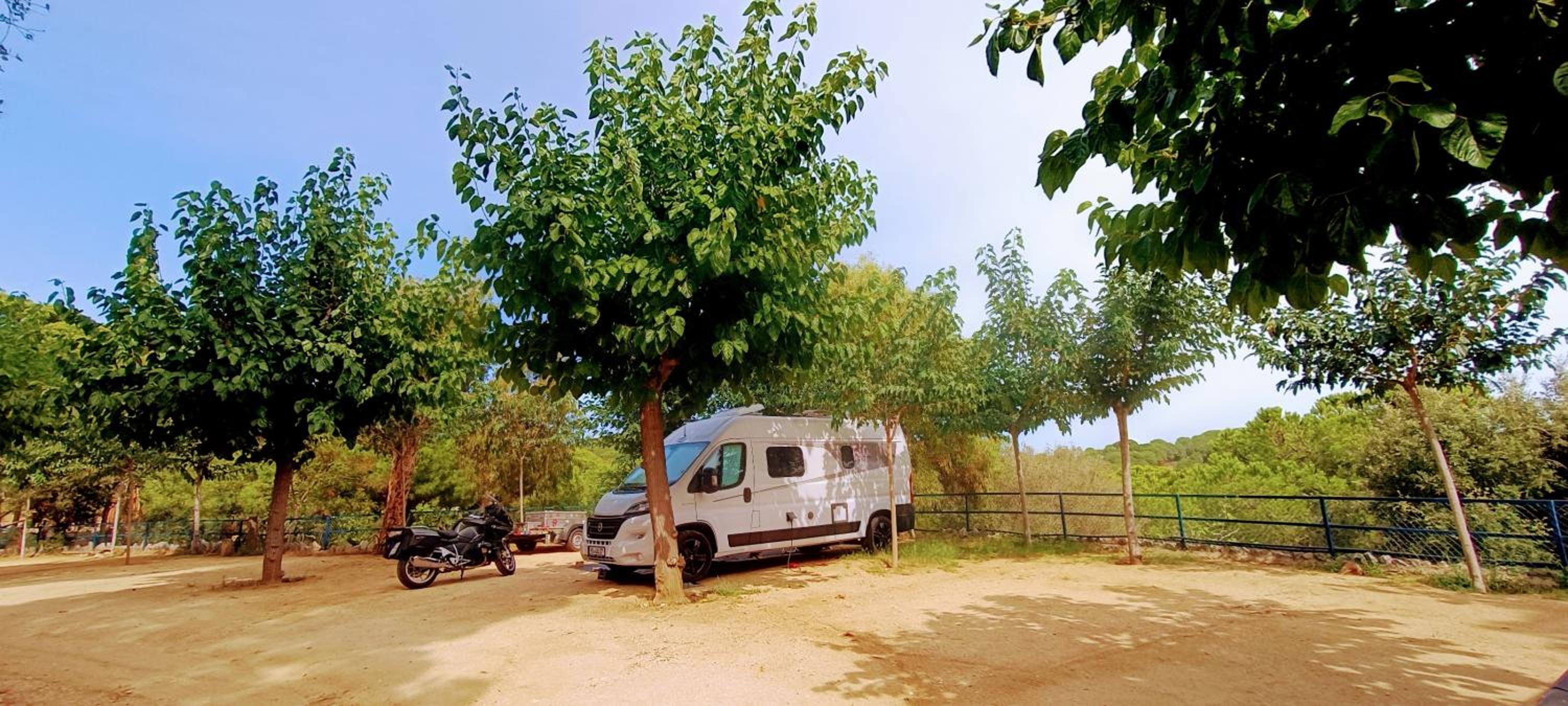Empty spot (bring your own tent or caravan) photo 3