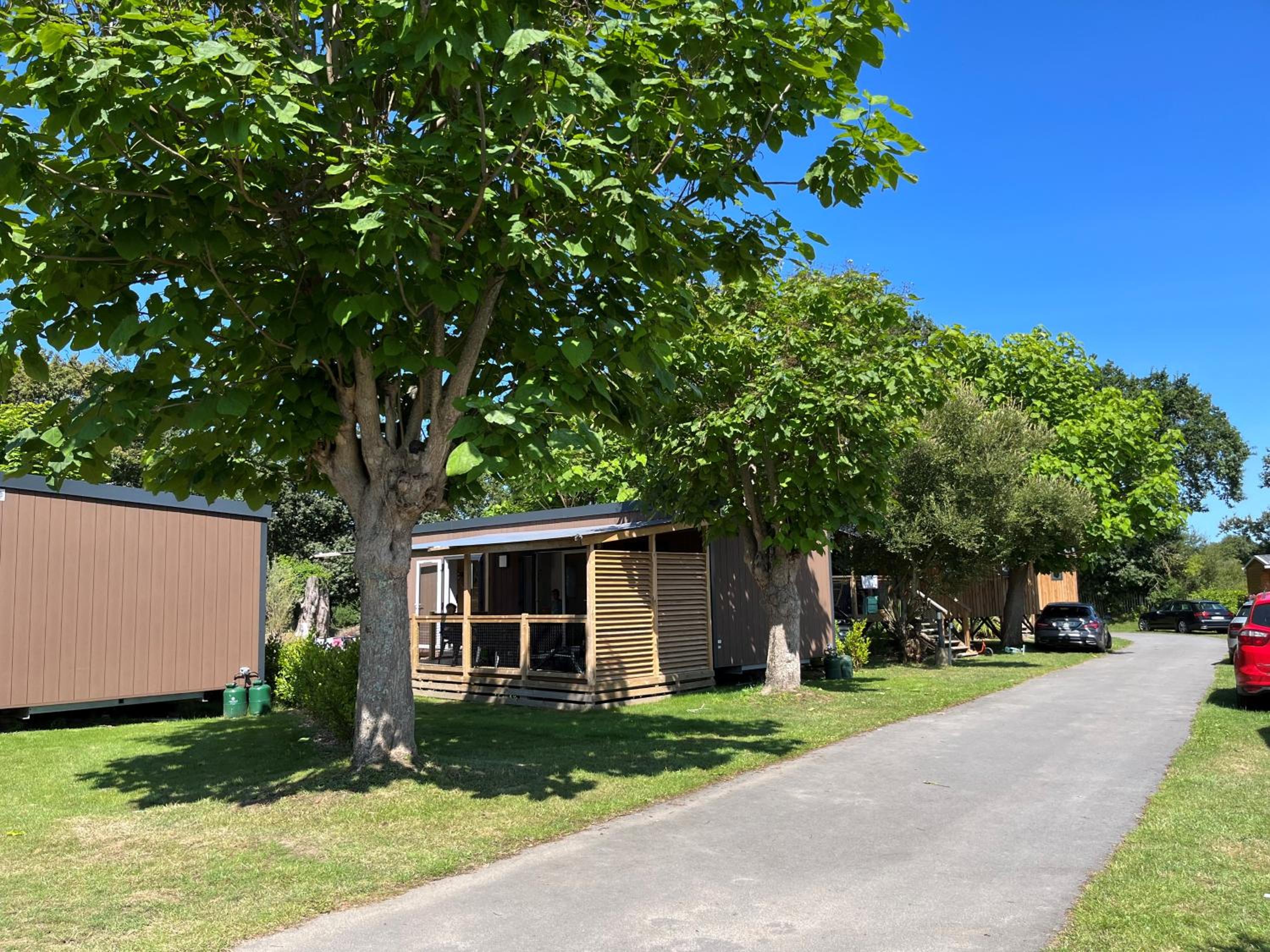 Mobile Home photo 2