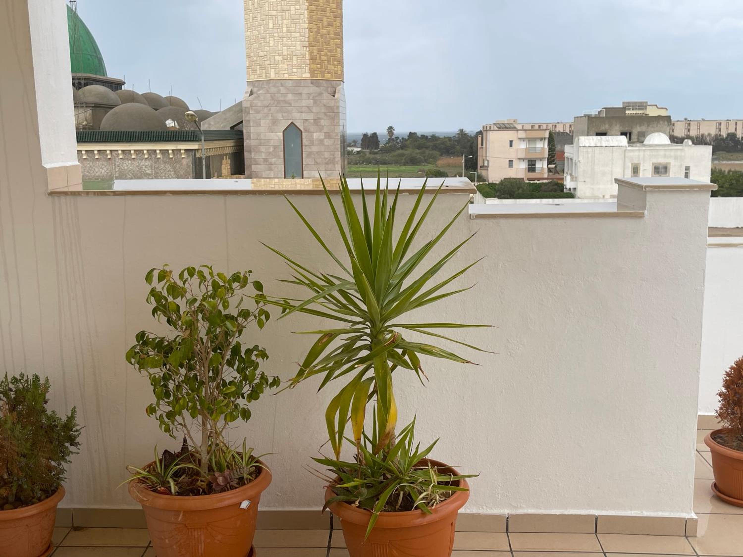 Apartment with Terrace photo 2