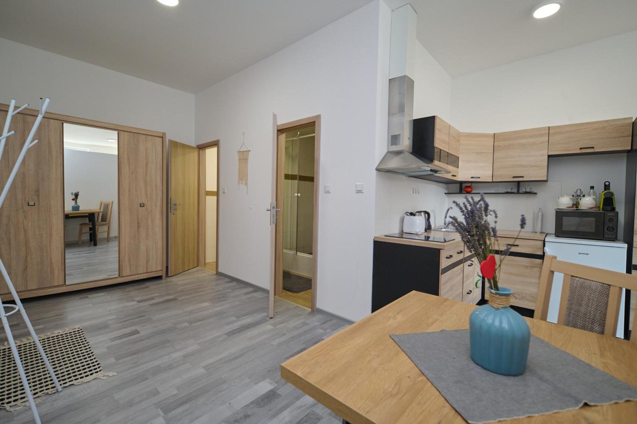 Standard Apartment - Photo 9