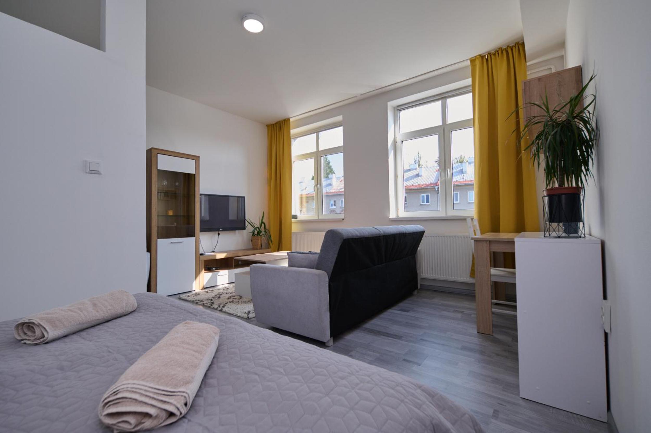 Standard Apartment - Photo 19