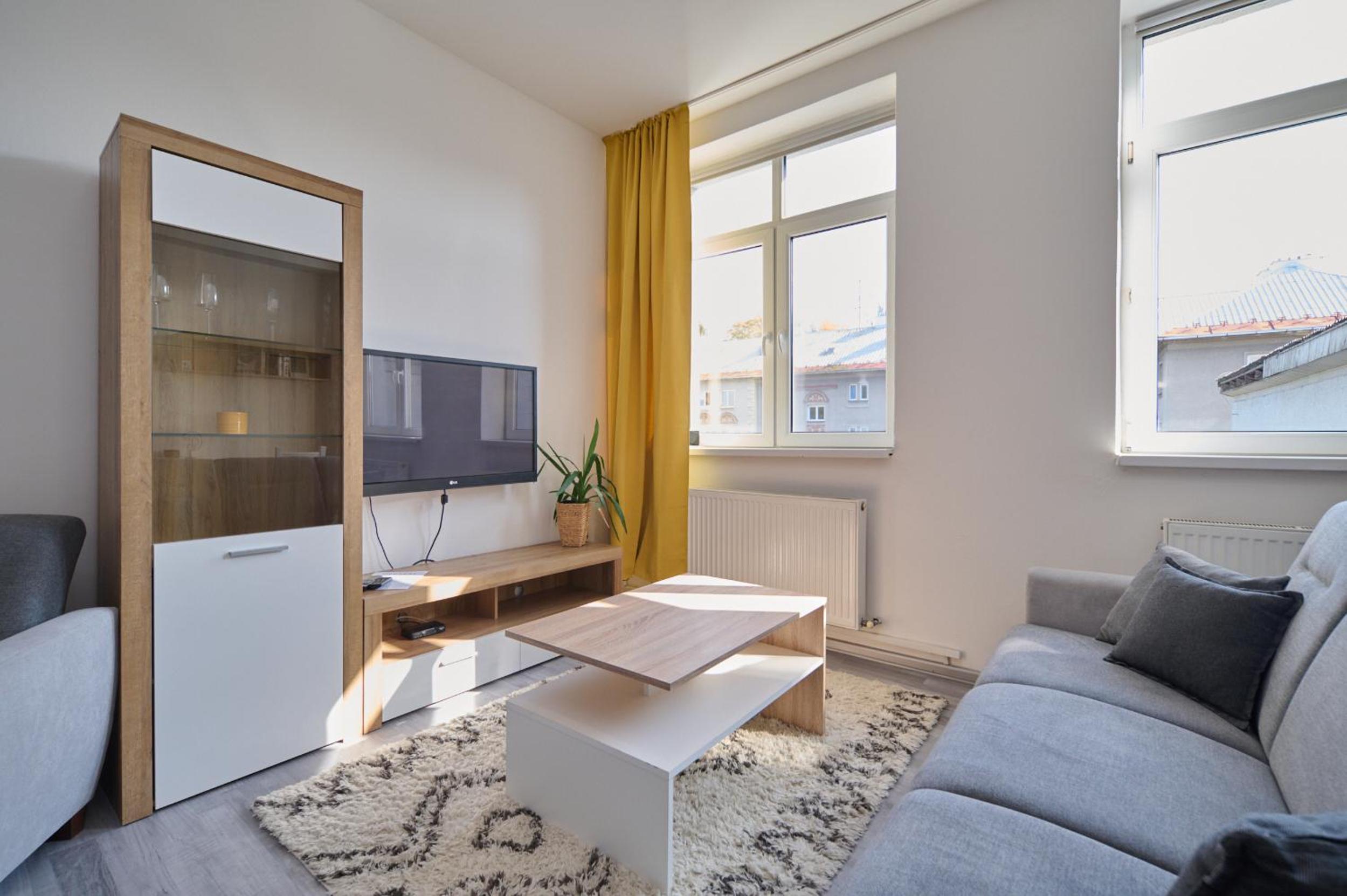 Standard Apartment - Photo 11