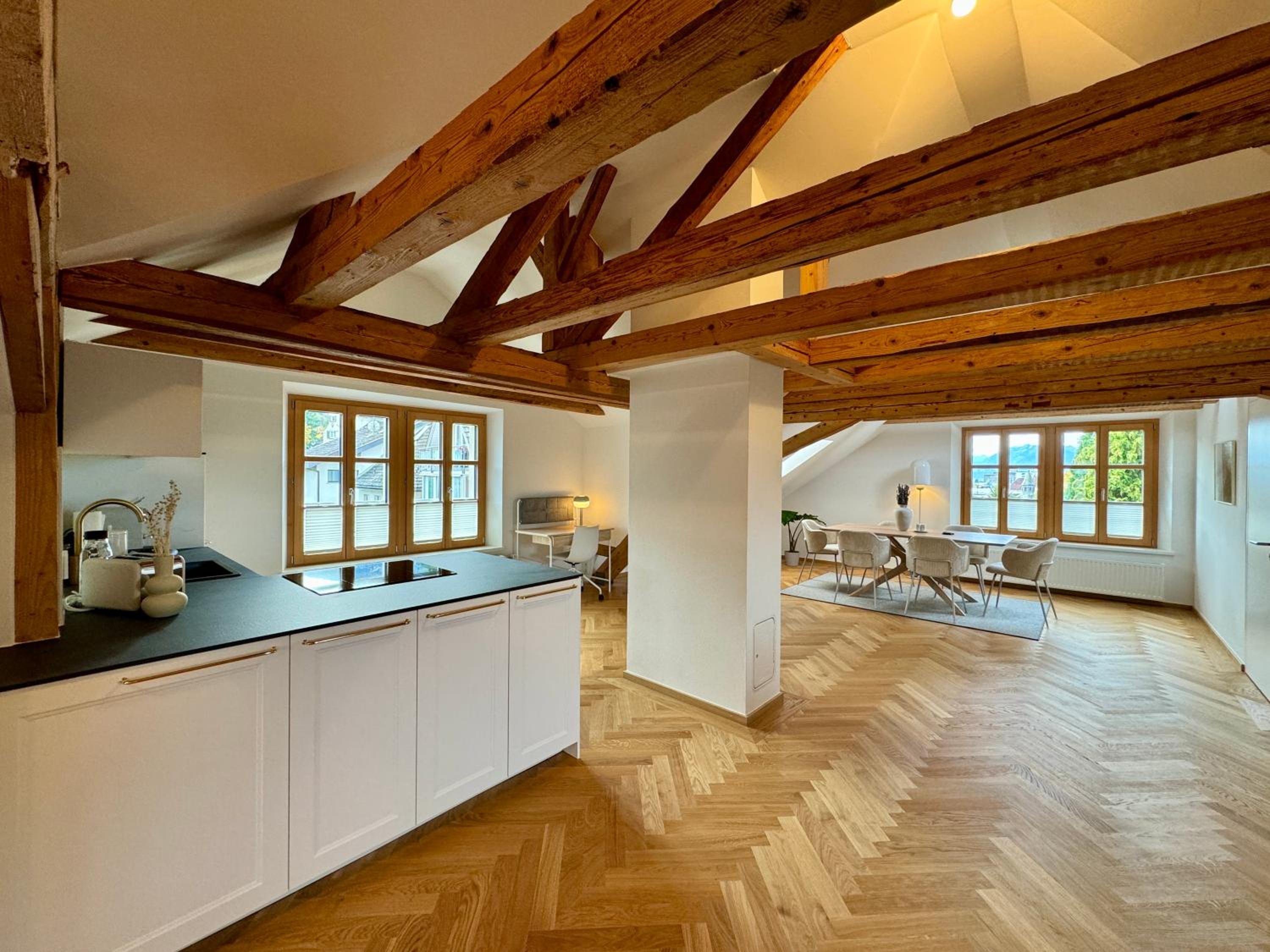 Duplex Apartment photo 3