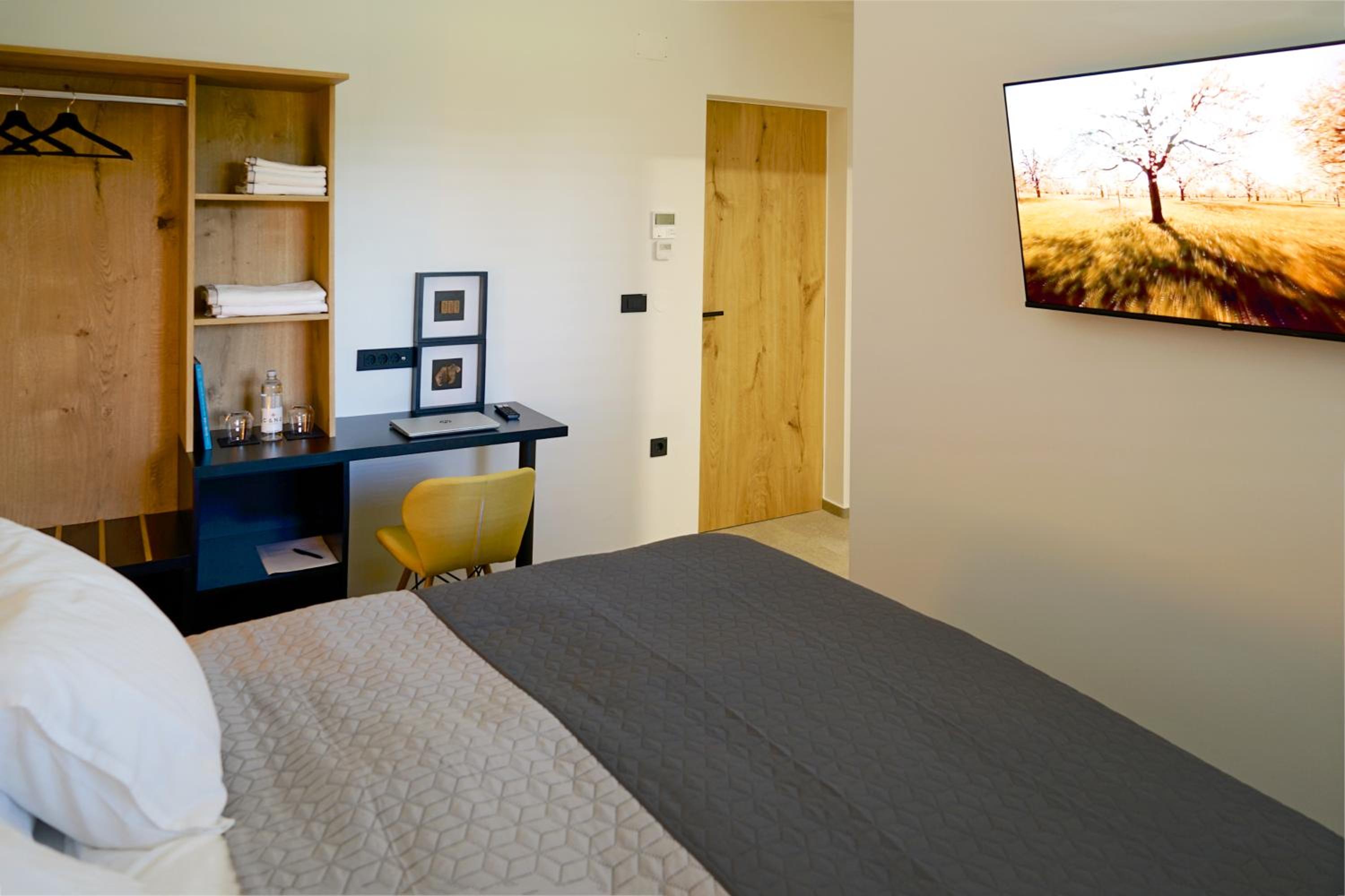 Deluxe Double Room photo 1