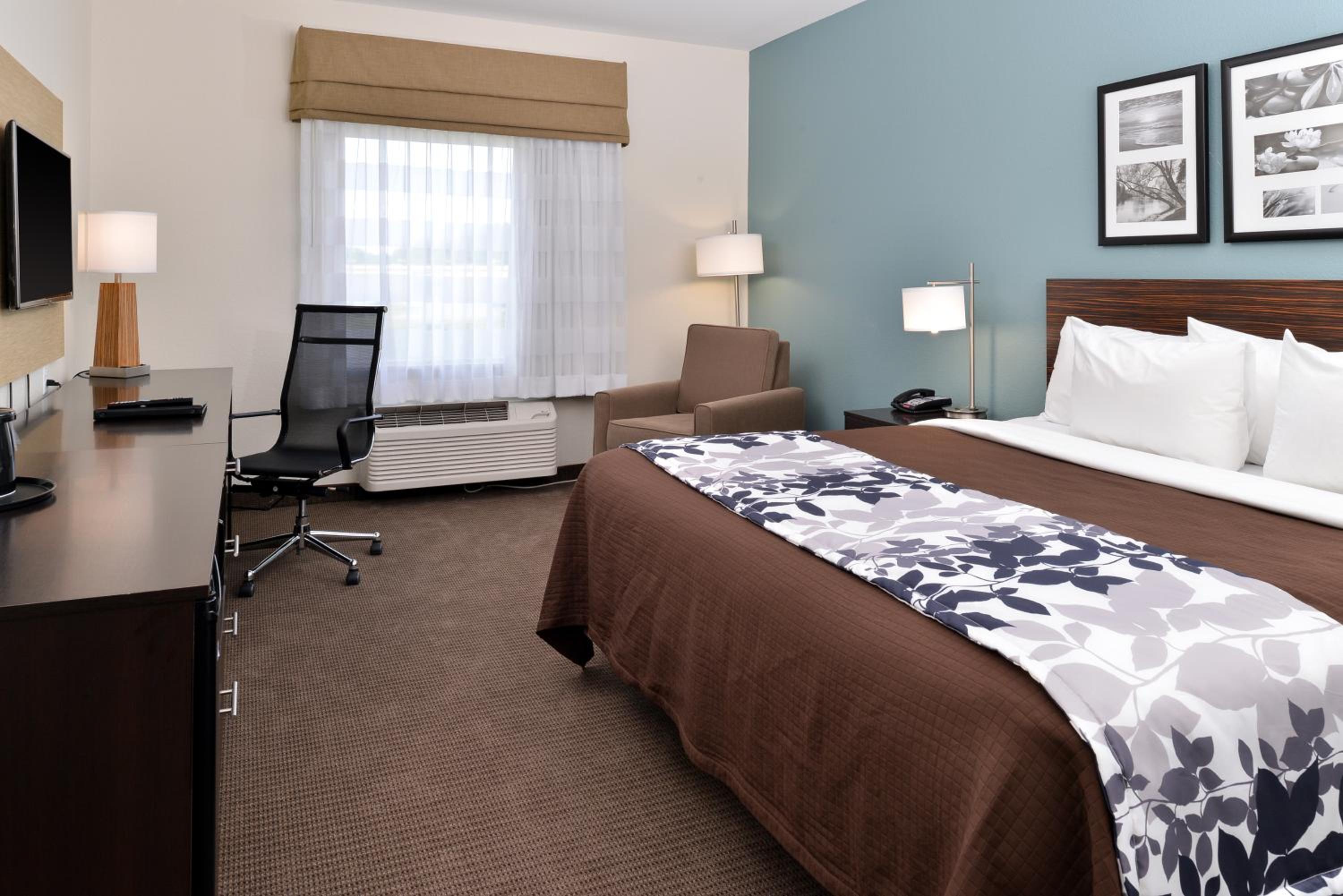 King Room - Non-Smoking photo 1