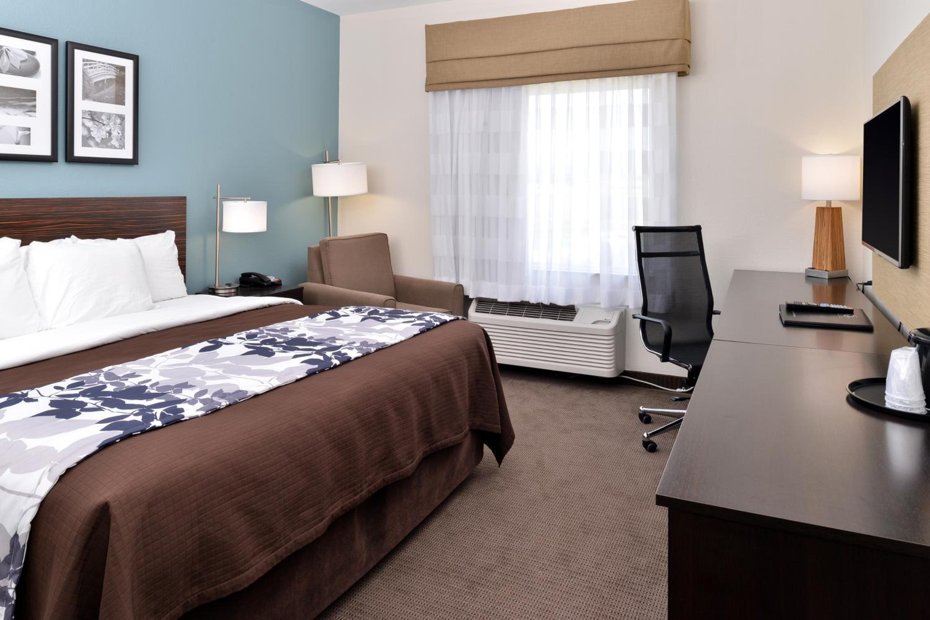 King Room - Non-Smoking photo 2