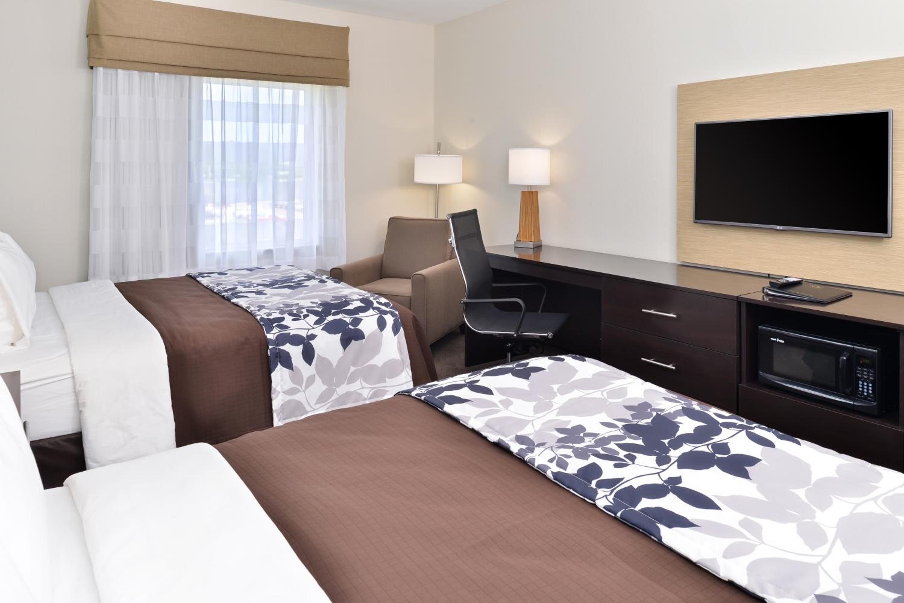 Queen Room with Two Queen Beds - Non-Smoking photo 3