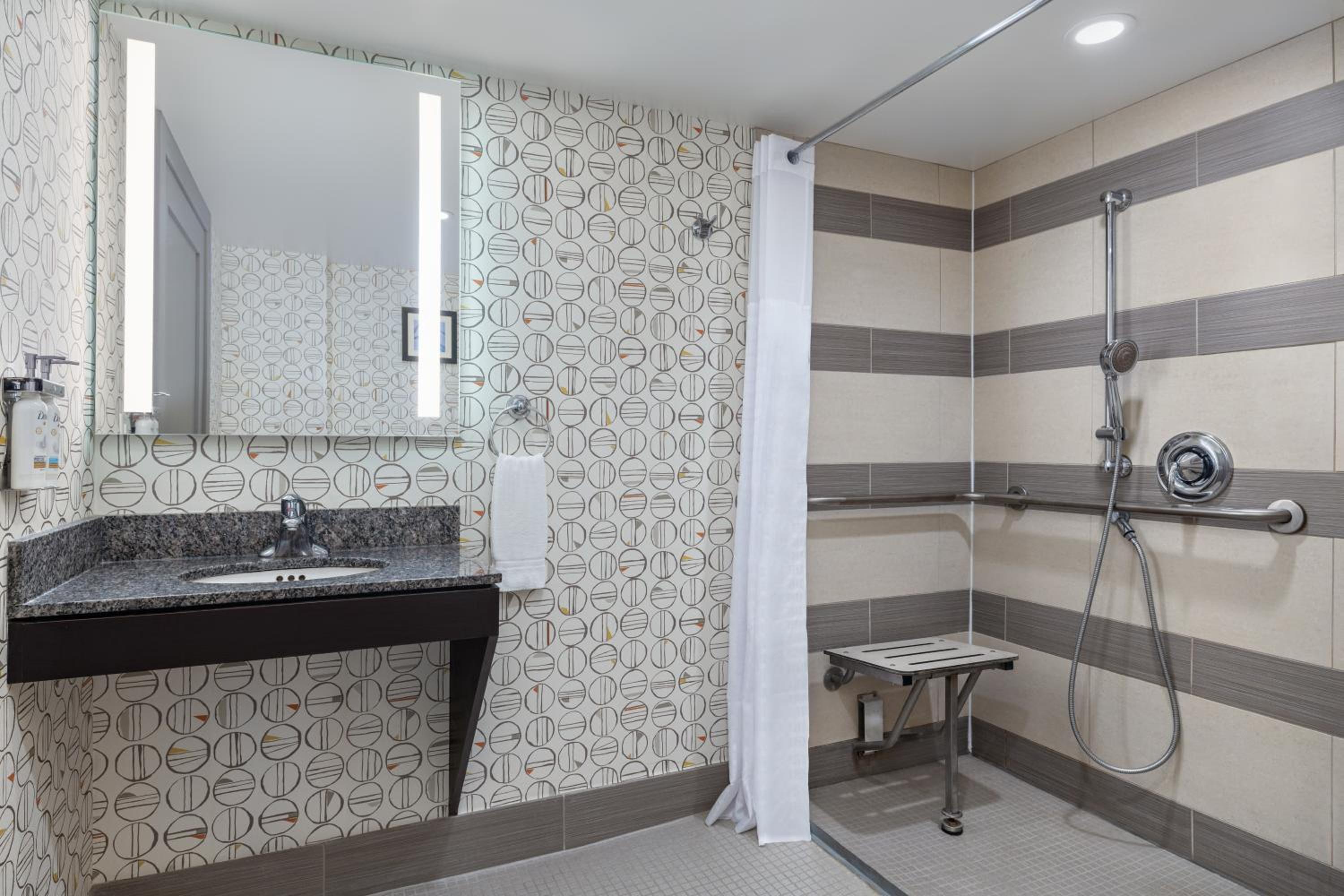 Standard Queen Room with Mobility Accessible Roll-In Shower - Photo 7