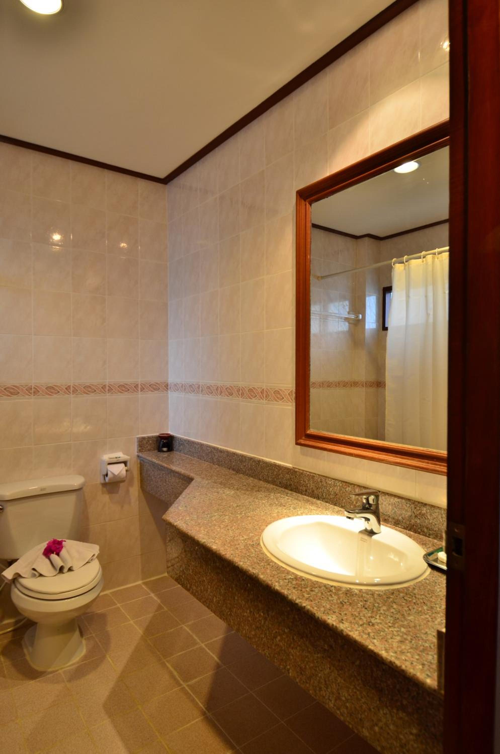 Deluxe Double or Twin Room - Photo 12