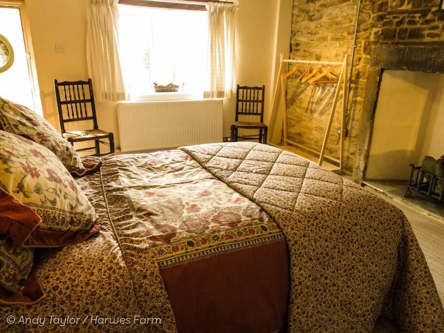 Holiday Home photo 1