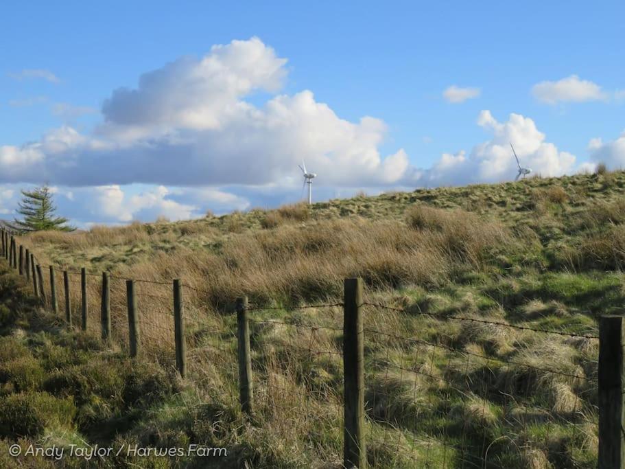 Holiday Home photo 2